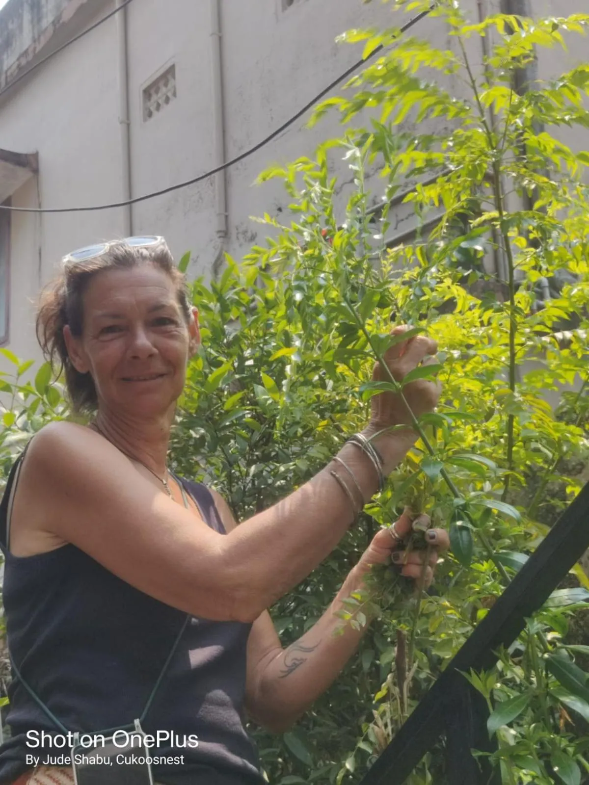 Garden in Cukoos Nest