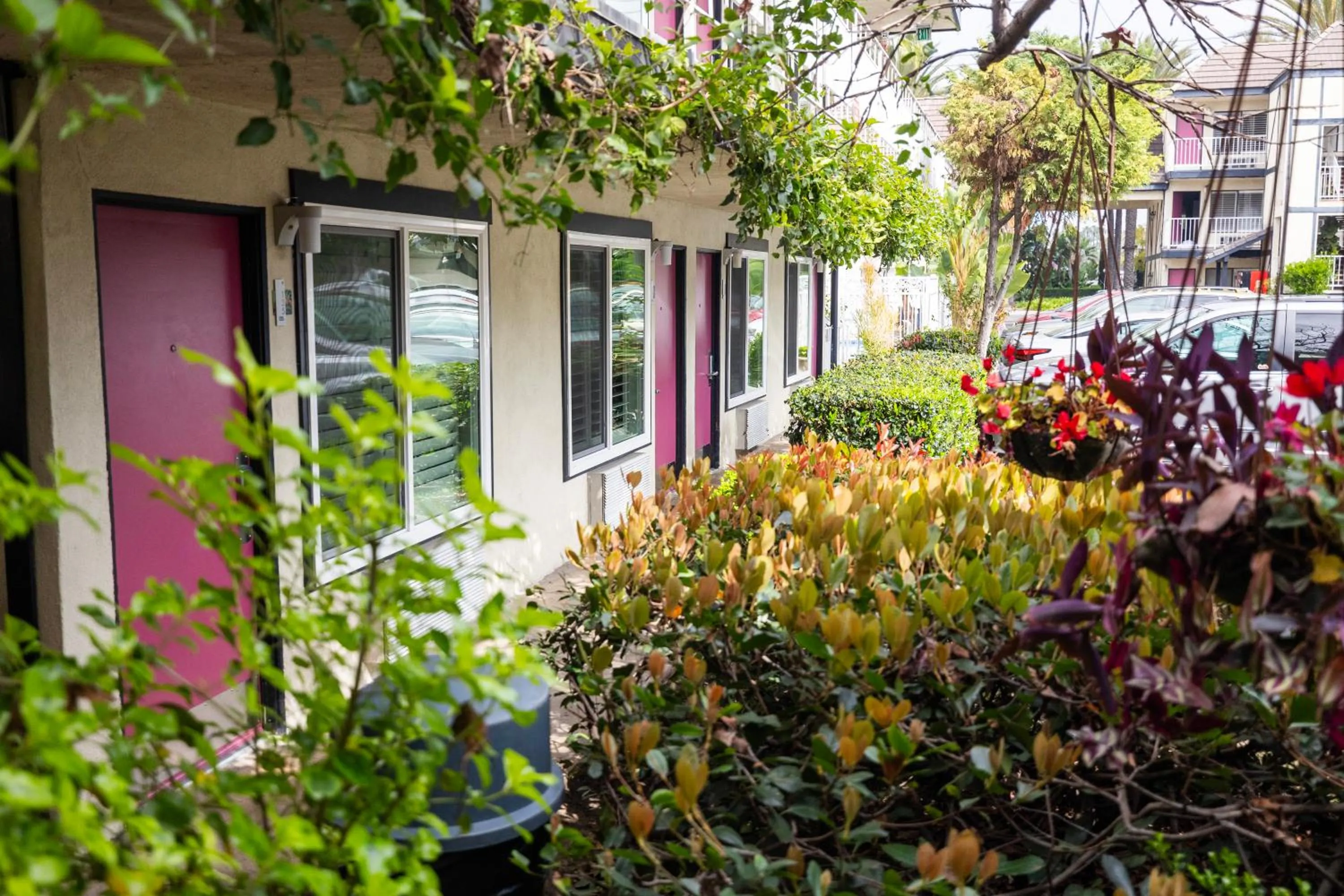 Alamo Inn and Suites - Convention Center