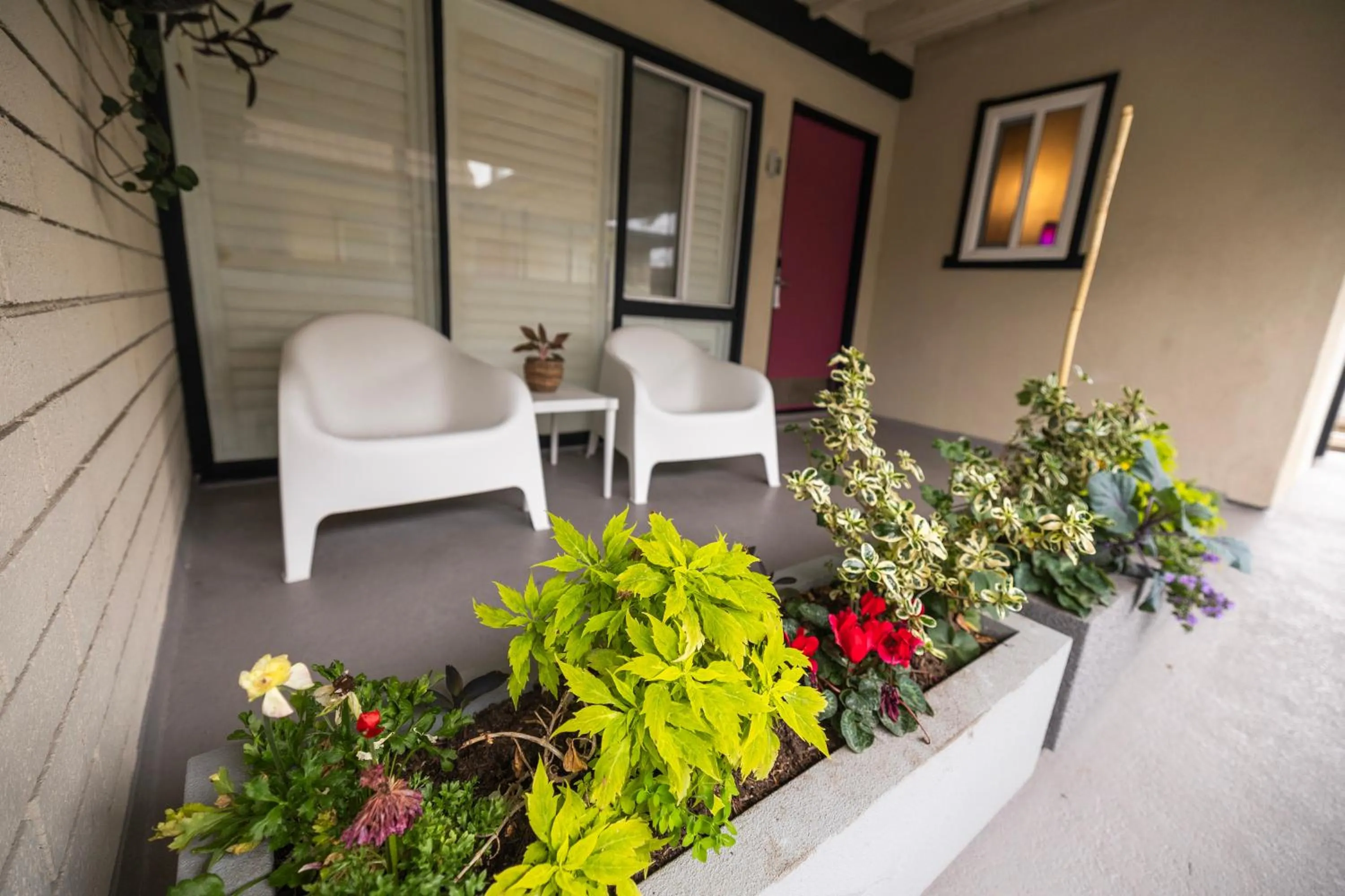 Alamo Inn and Suites - Convention Center