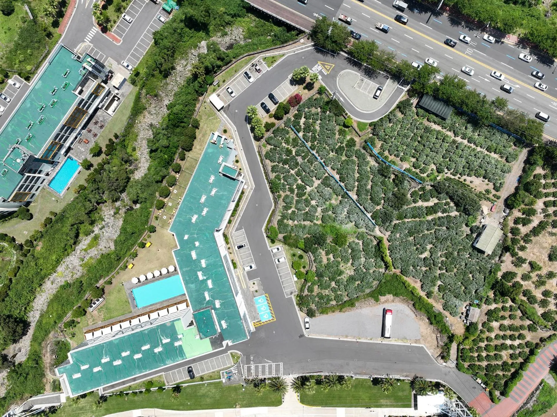 Bird's eye view in Shin Shin Hotel Jeju City