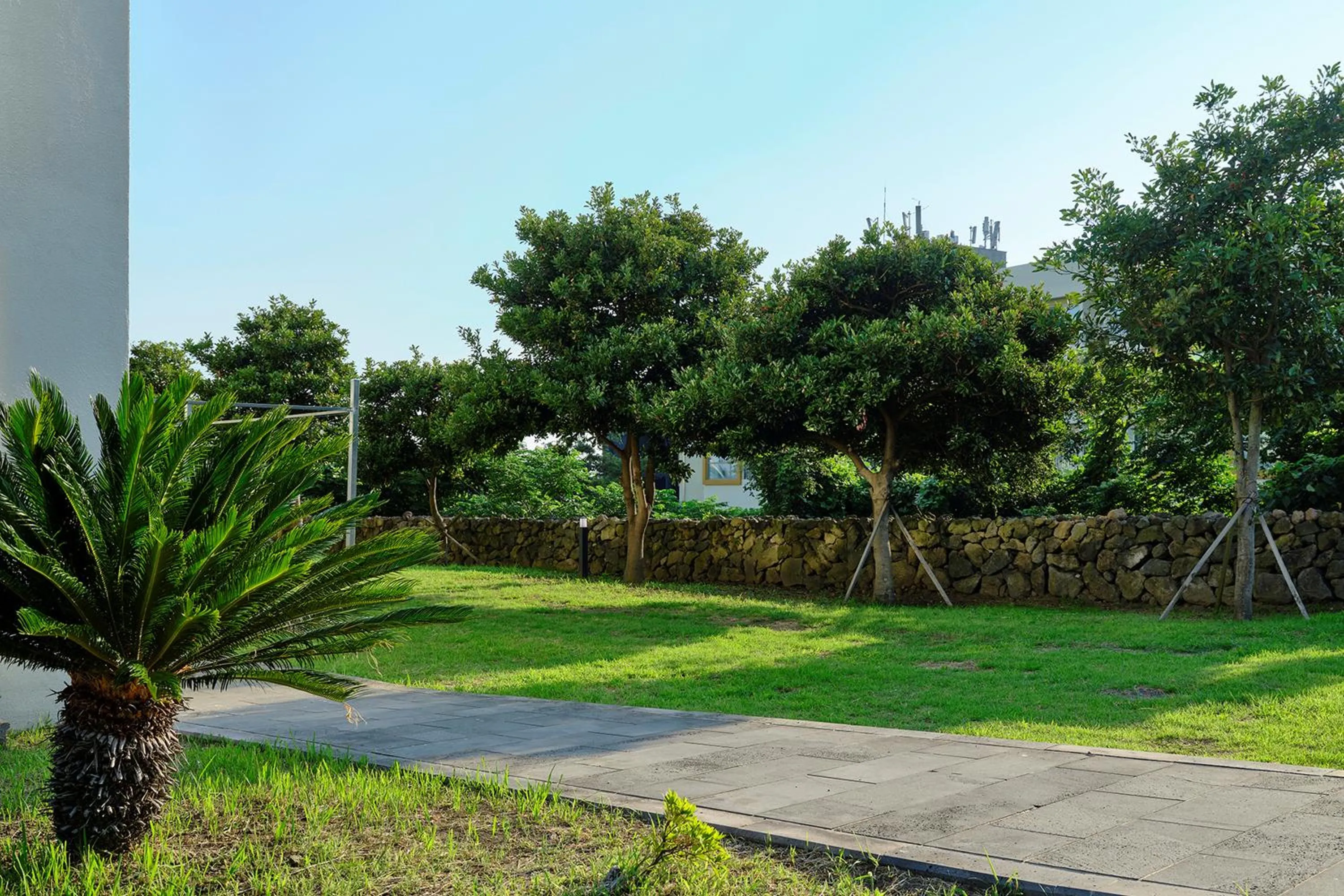 Garden in Shin Shin Hotel Jeju City