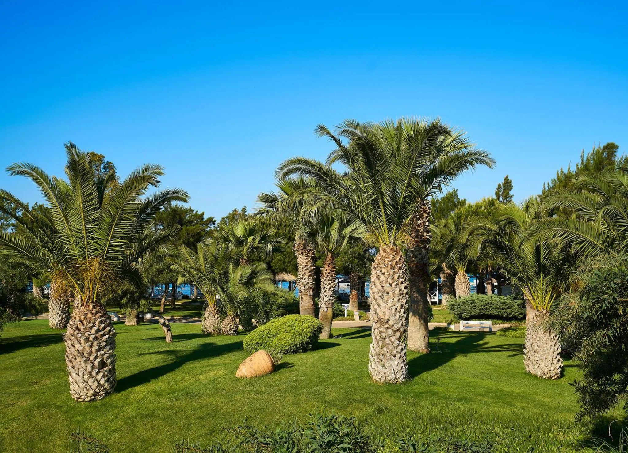 Garden in Mark Warner Phokaia Beach Resort