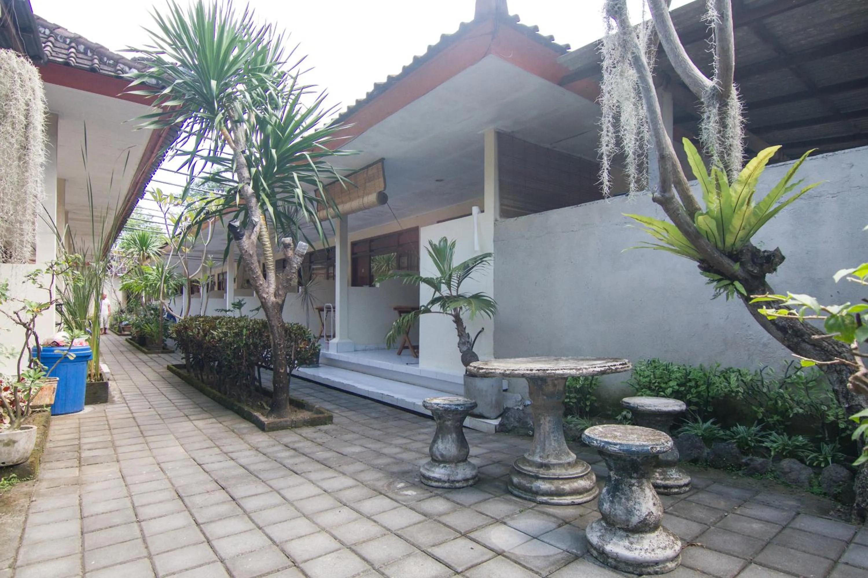 Garden in Pondok Nuri Homestay