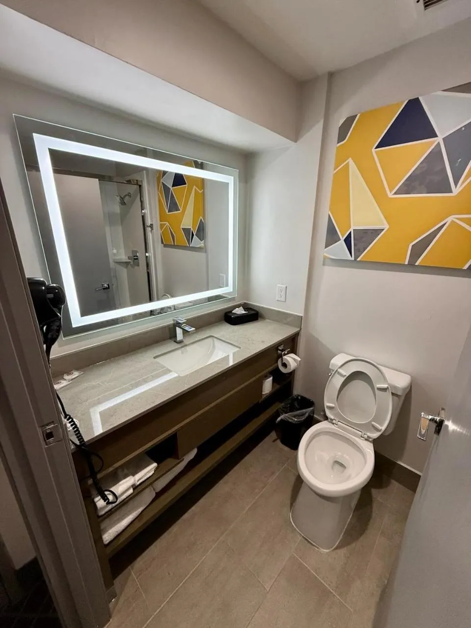 Bathroom in Comfort Inn & Suites Love Field-Dallas Market Center