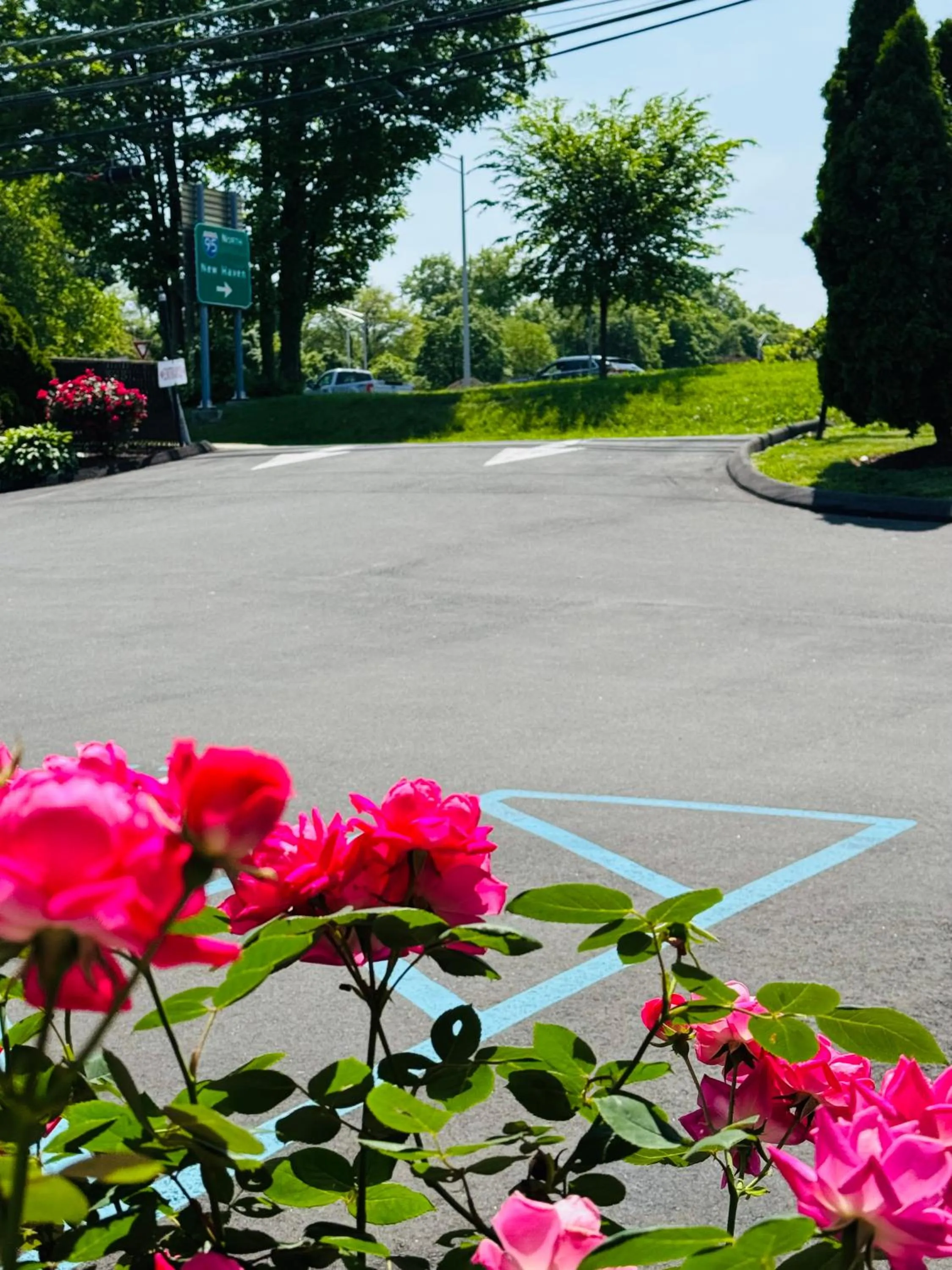 Facade/entrance in Red Carpet Inn - Stamford