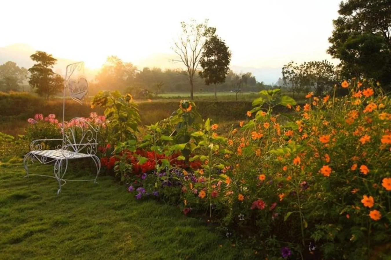 Garden in Belle Villa Resort, Pai