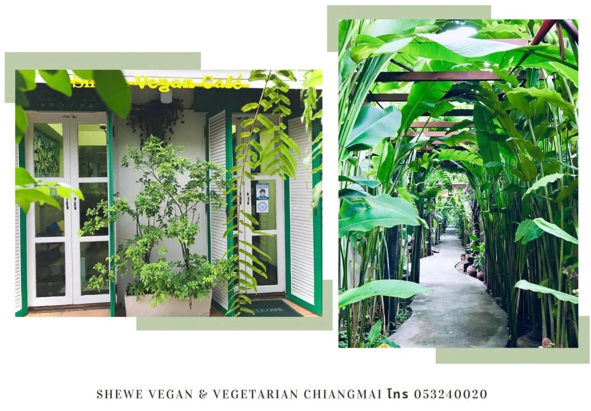 Restaurant/places to eat in Shewe Wana Suite Resort