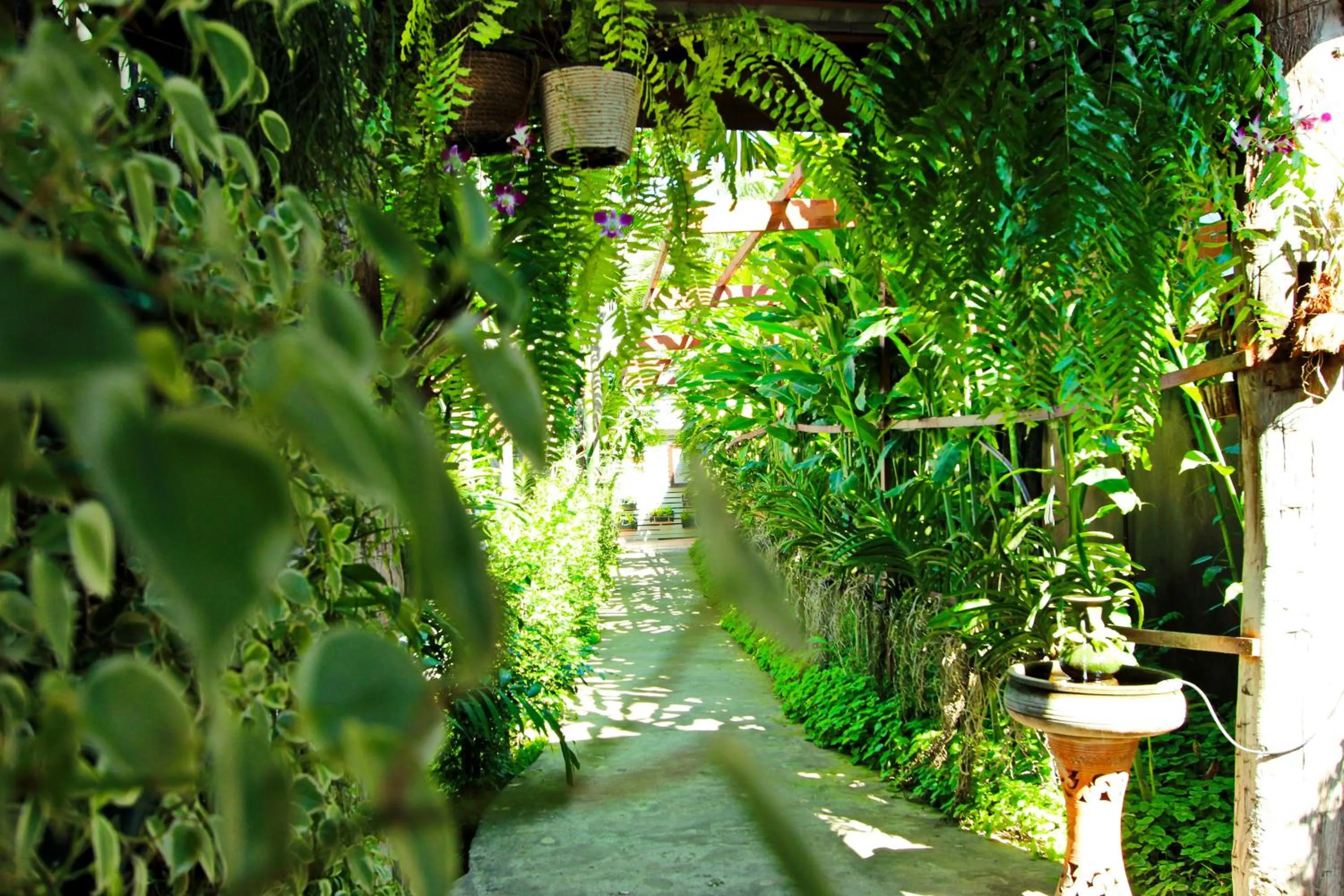 Garden in Shewe Wana Suite Resort