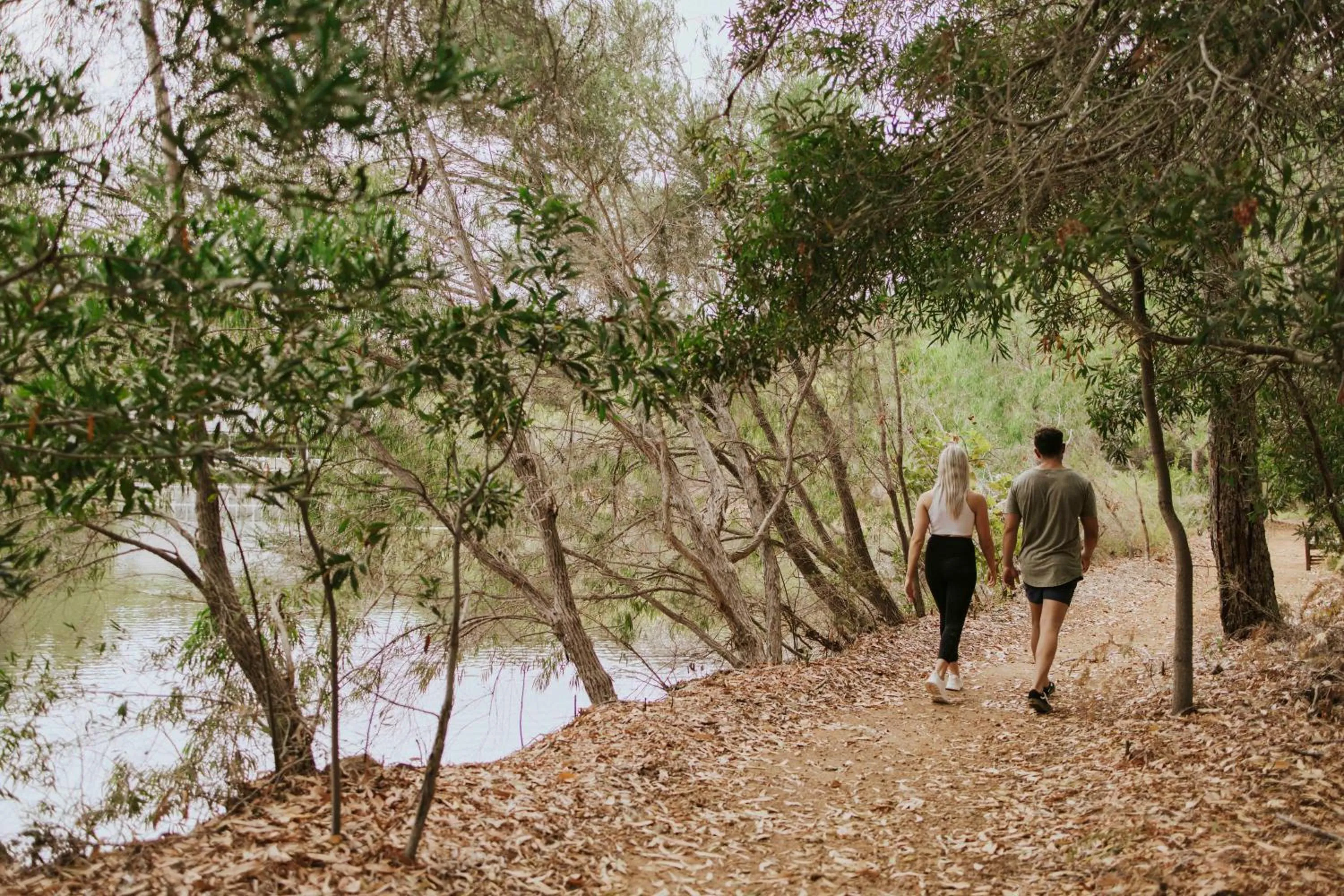Garden in Cape Lodge