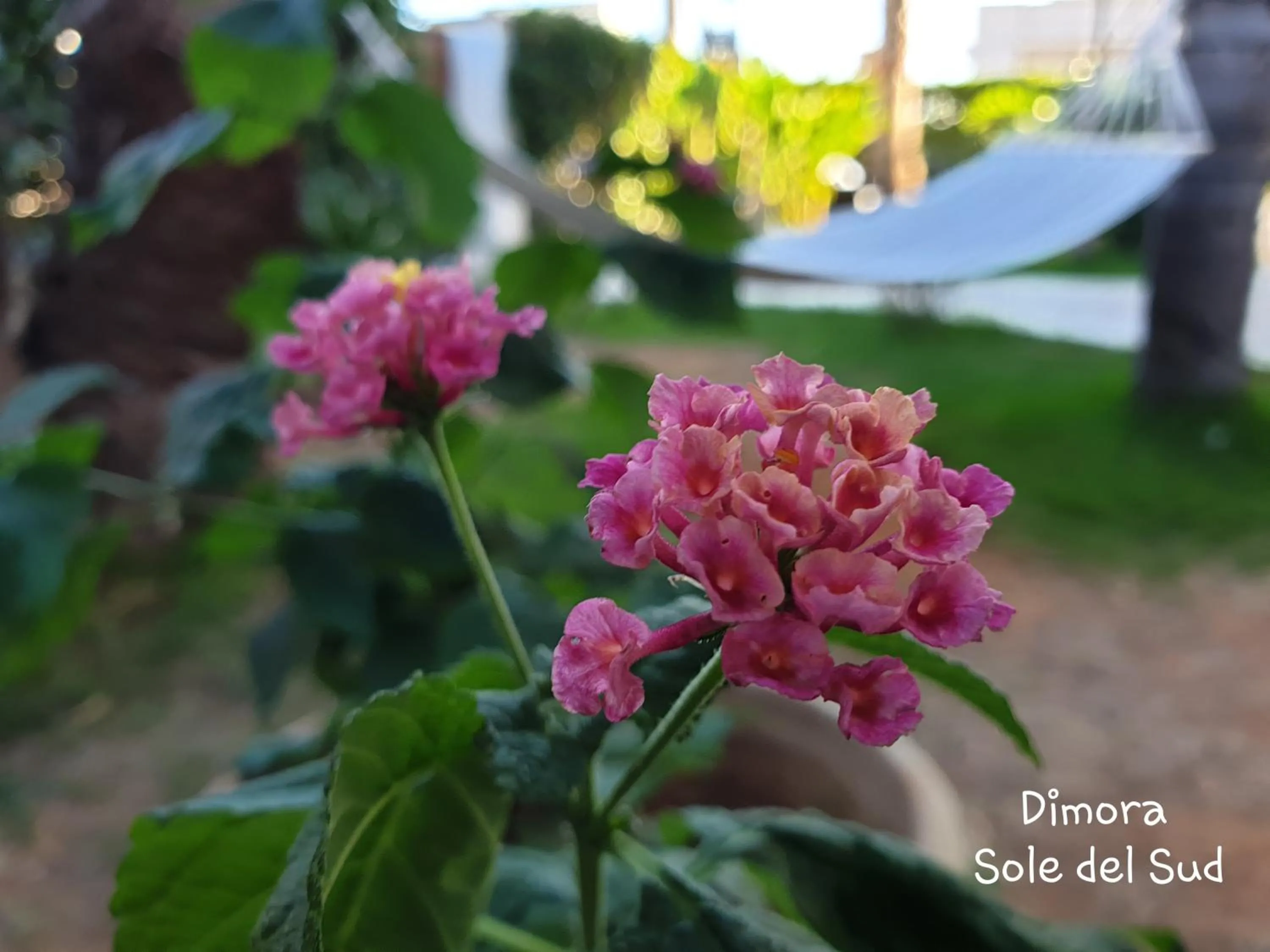 Garden in Dimora Sole del Sud