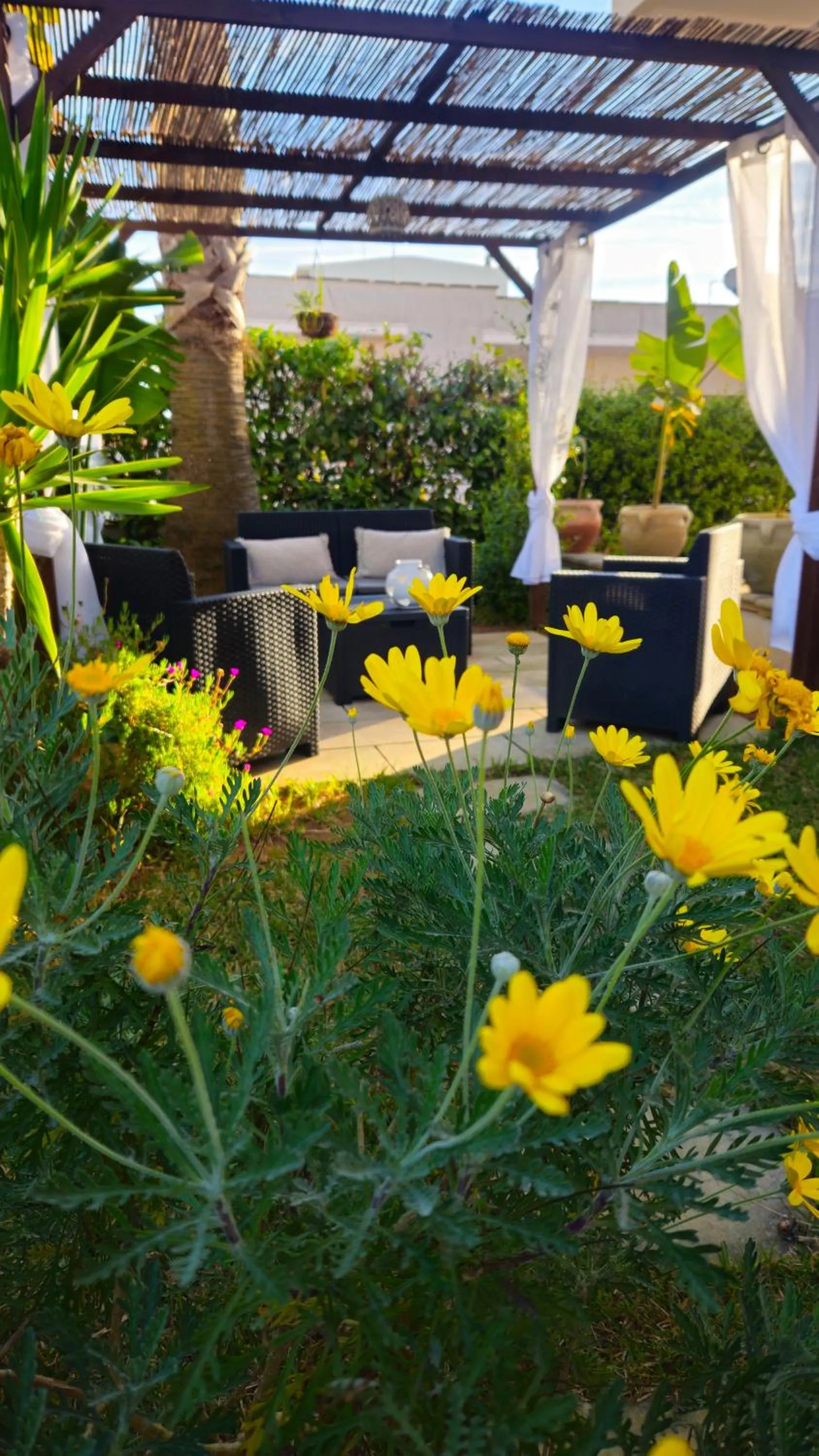 Garden in Dimora Sole del Sud