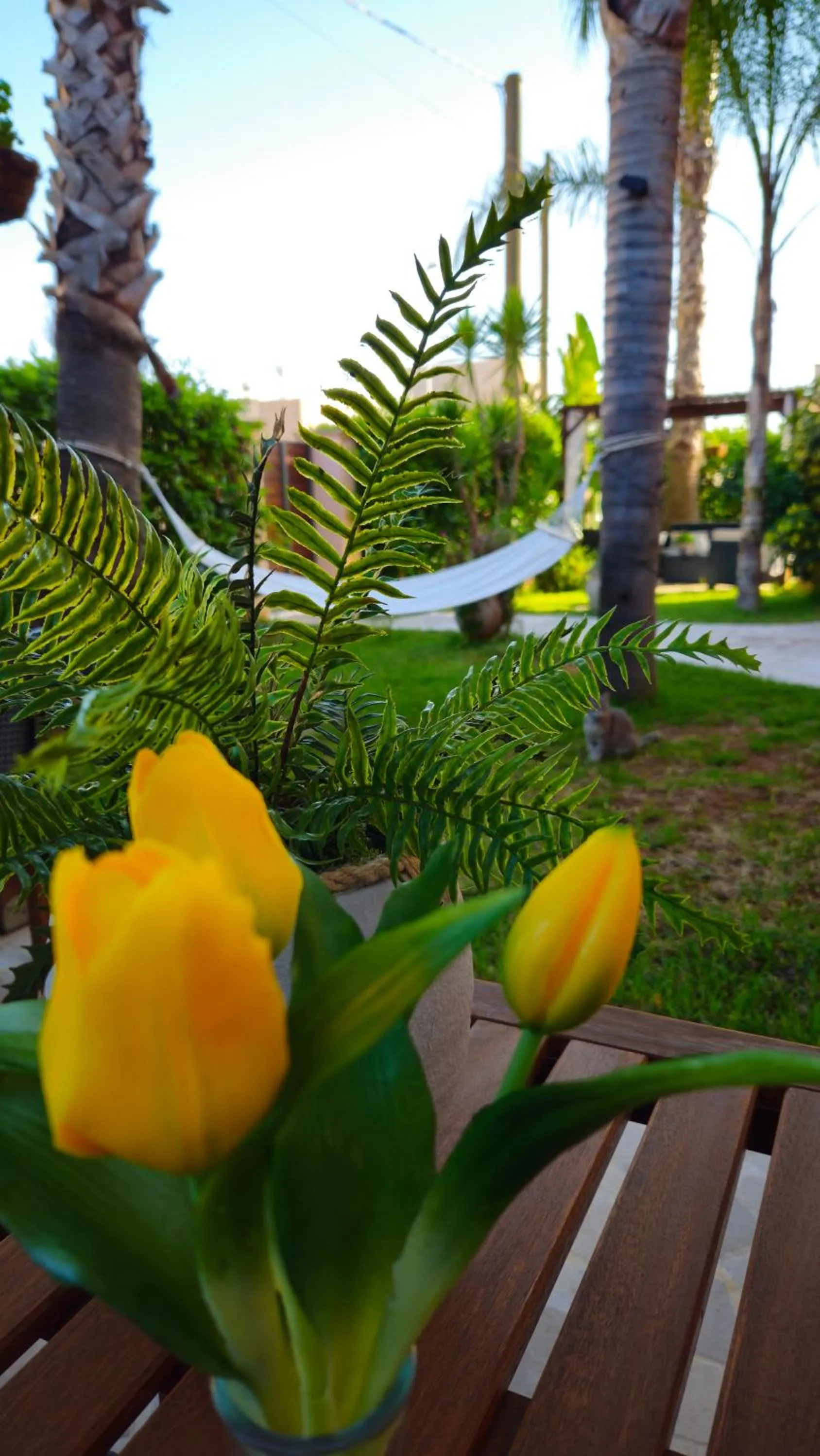 Garden in Dimora Sole del Sud