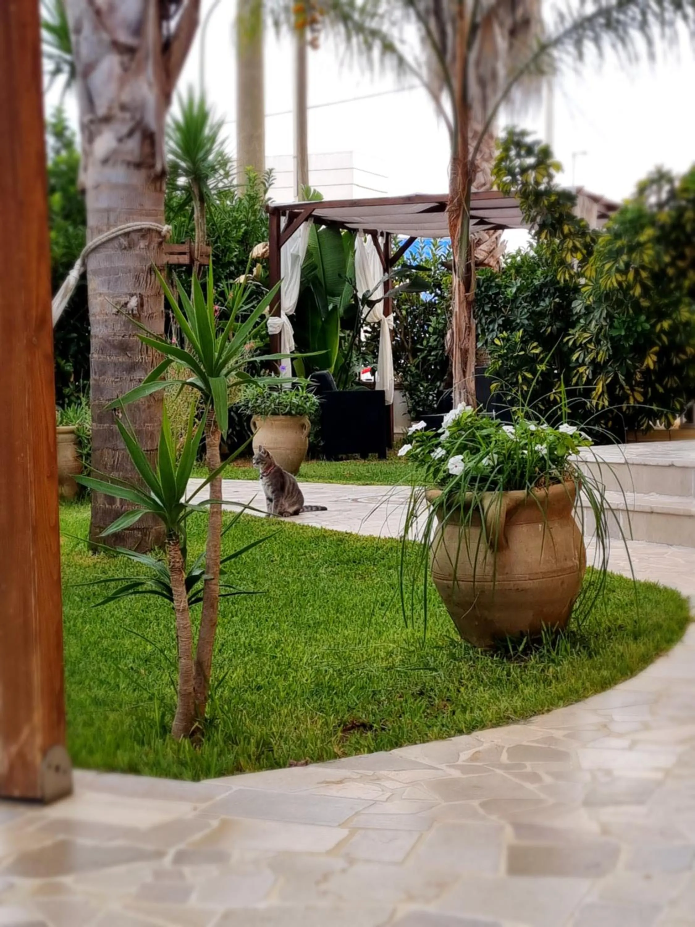 Garden in Dimora Sole del Sud