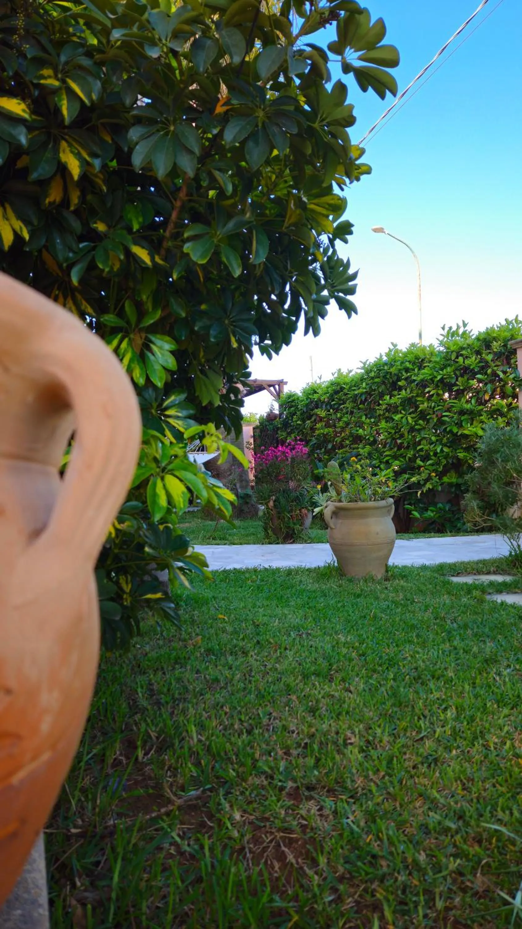 Garden in Dimora Sole del Sud