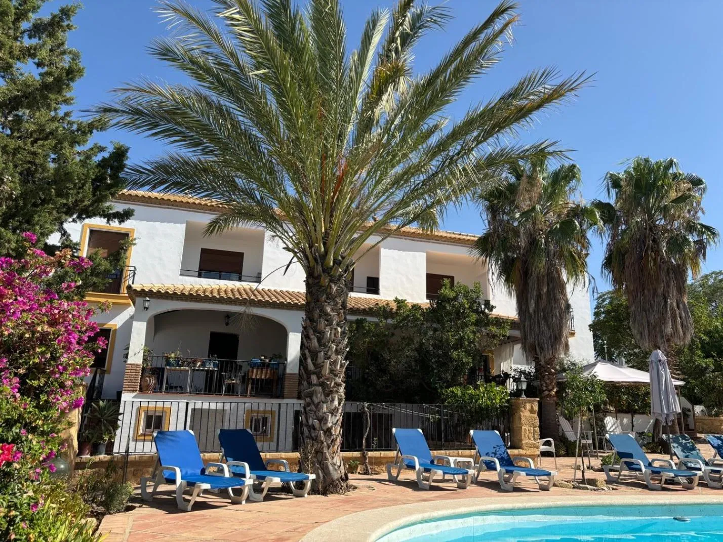 Garden in Hotel El Molino