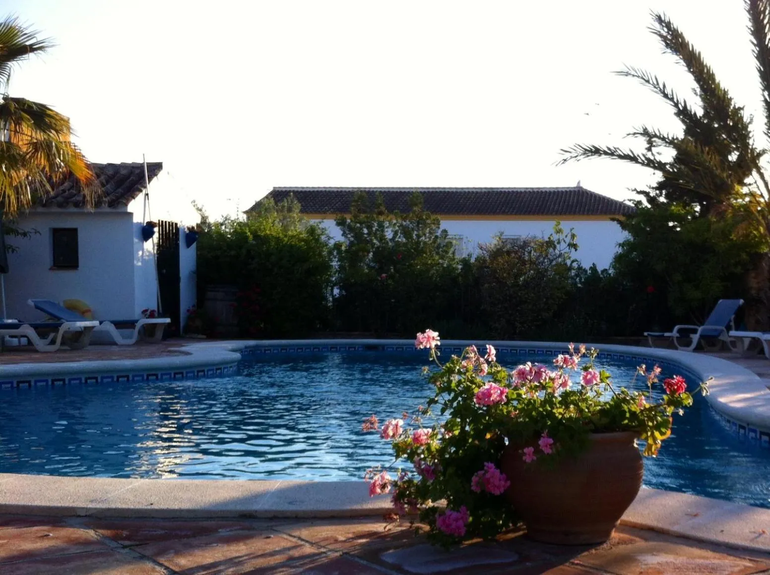 Day in Hotel El Molino