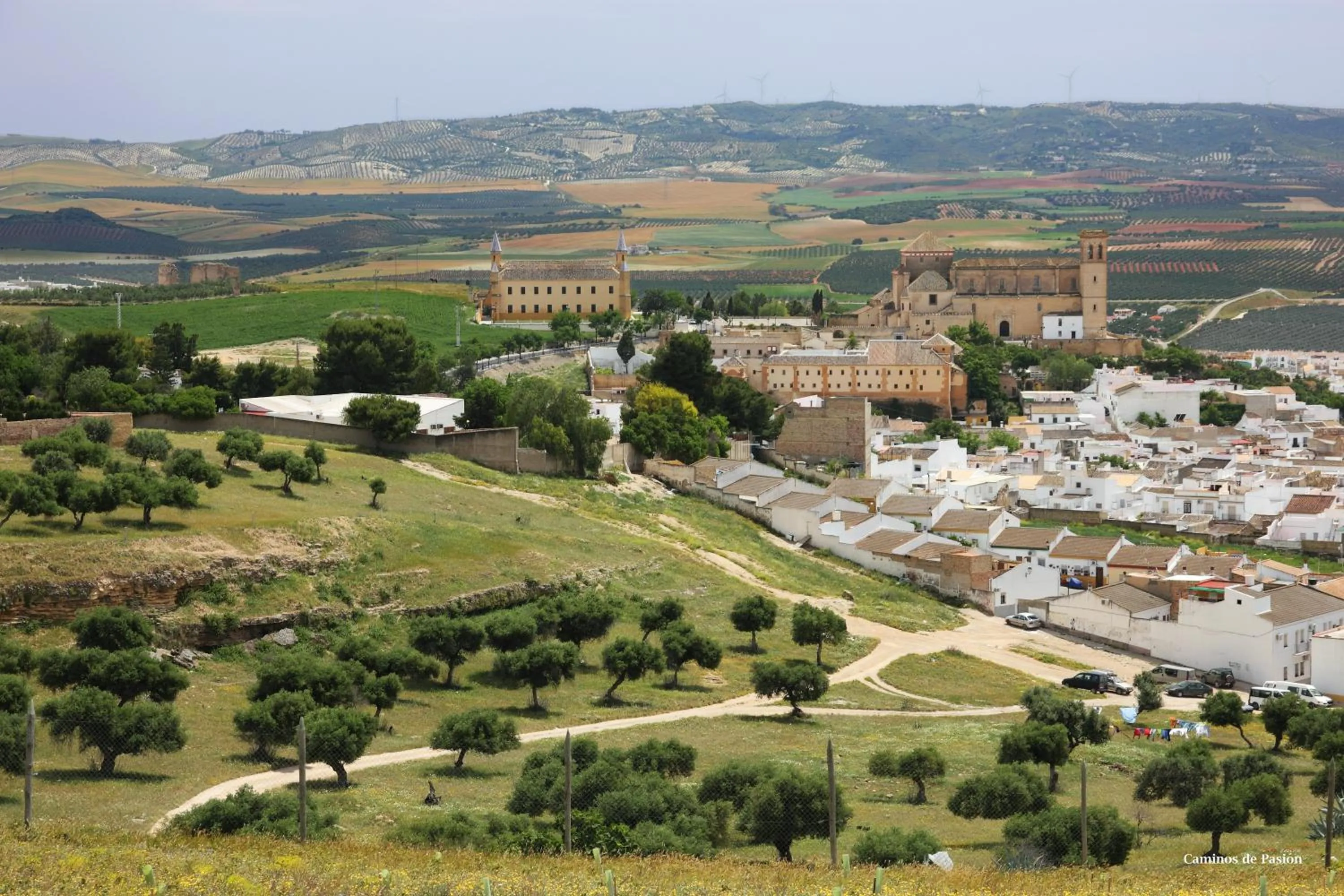 Activities in Hotel El Molino