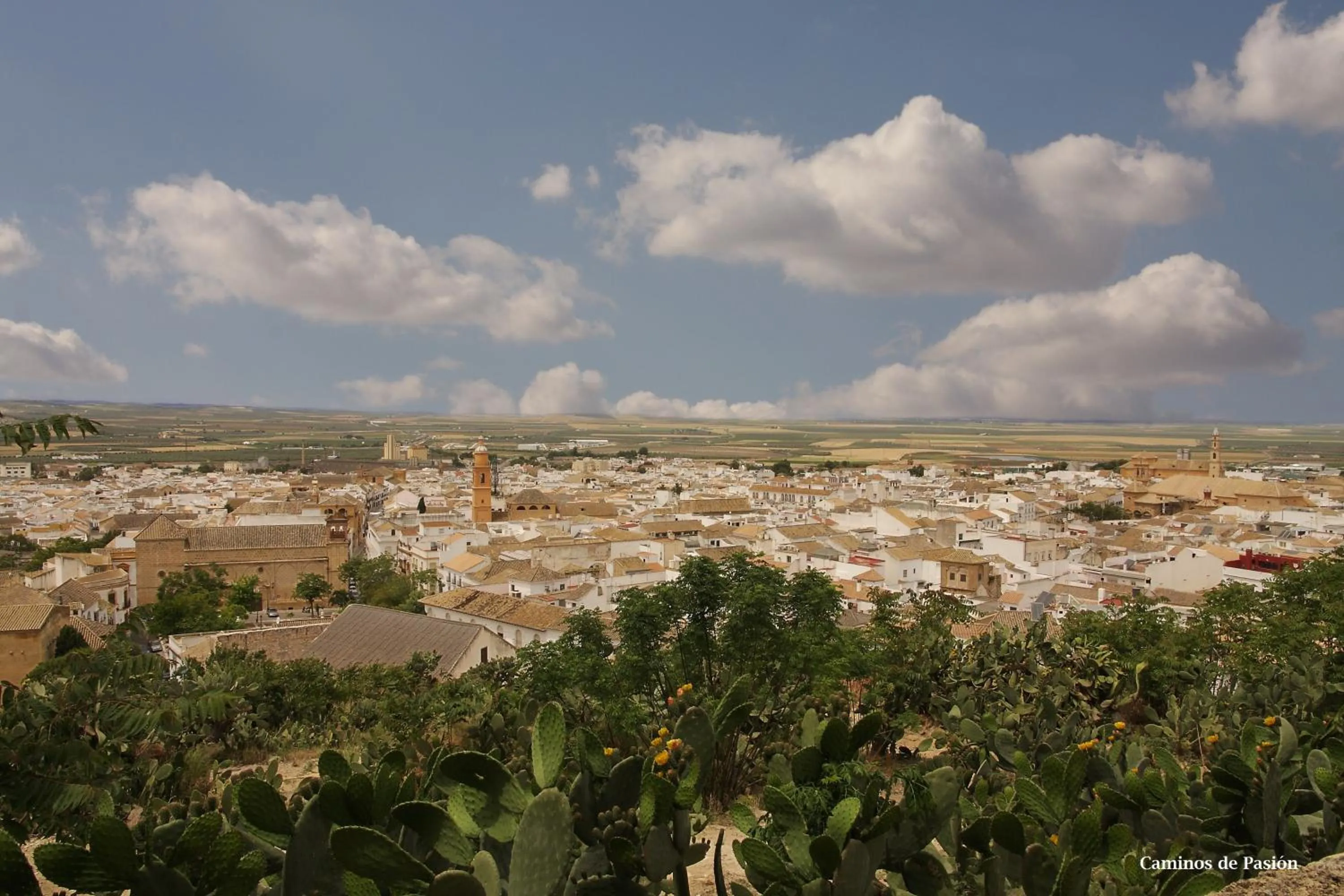 Activities in Hotel El Molino