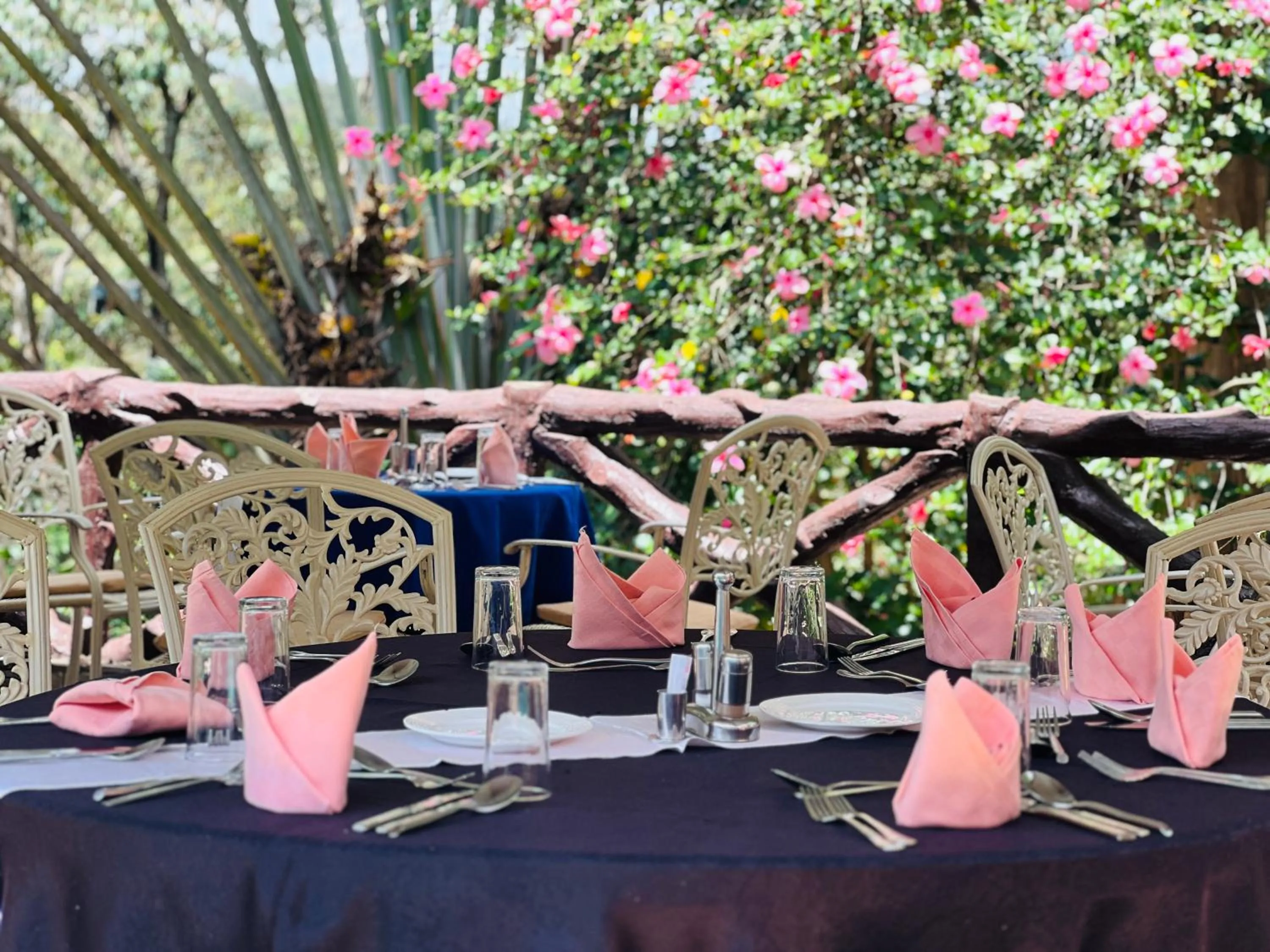 Garden in Nokras Riverine Hotel & Spa