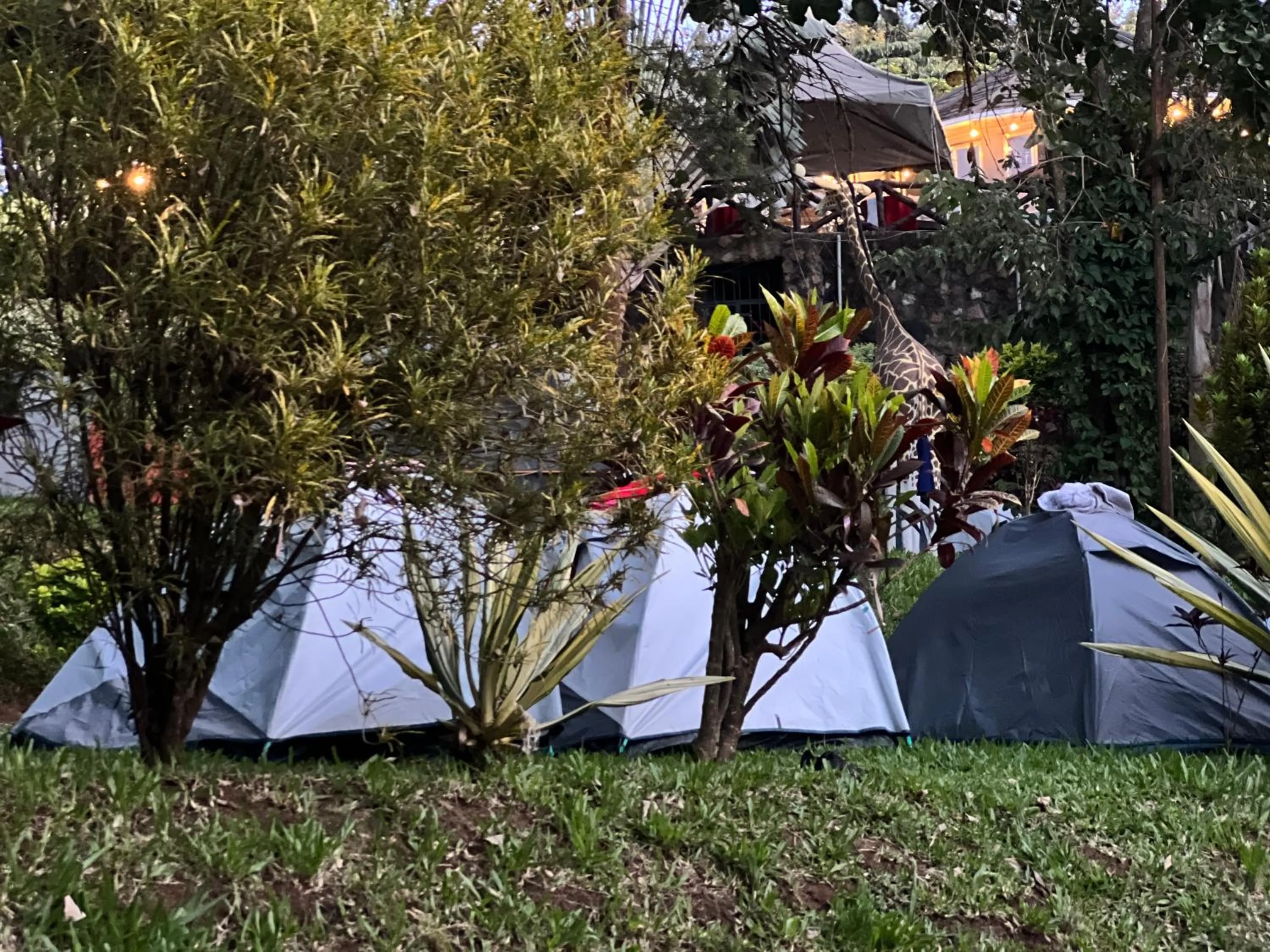 Garden in Nokras Riverine Hotel & Spa