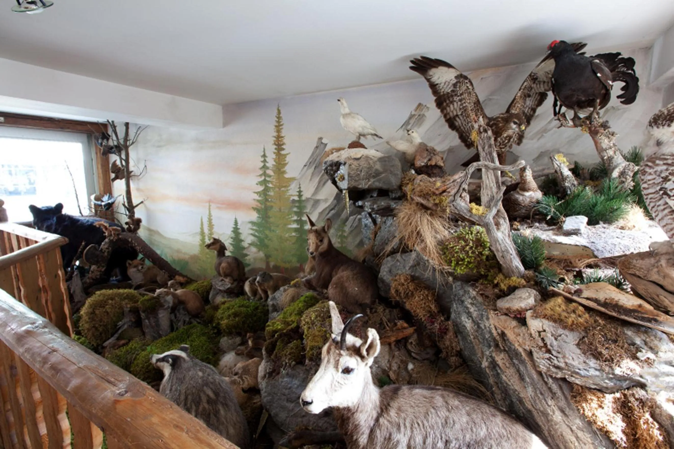 Lounge or bar in Hotel Astras