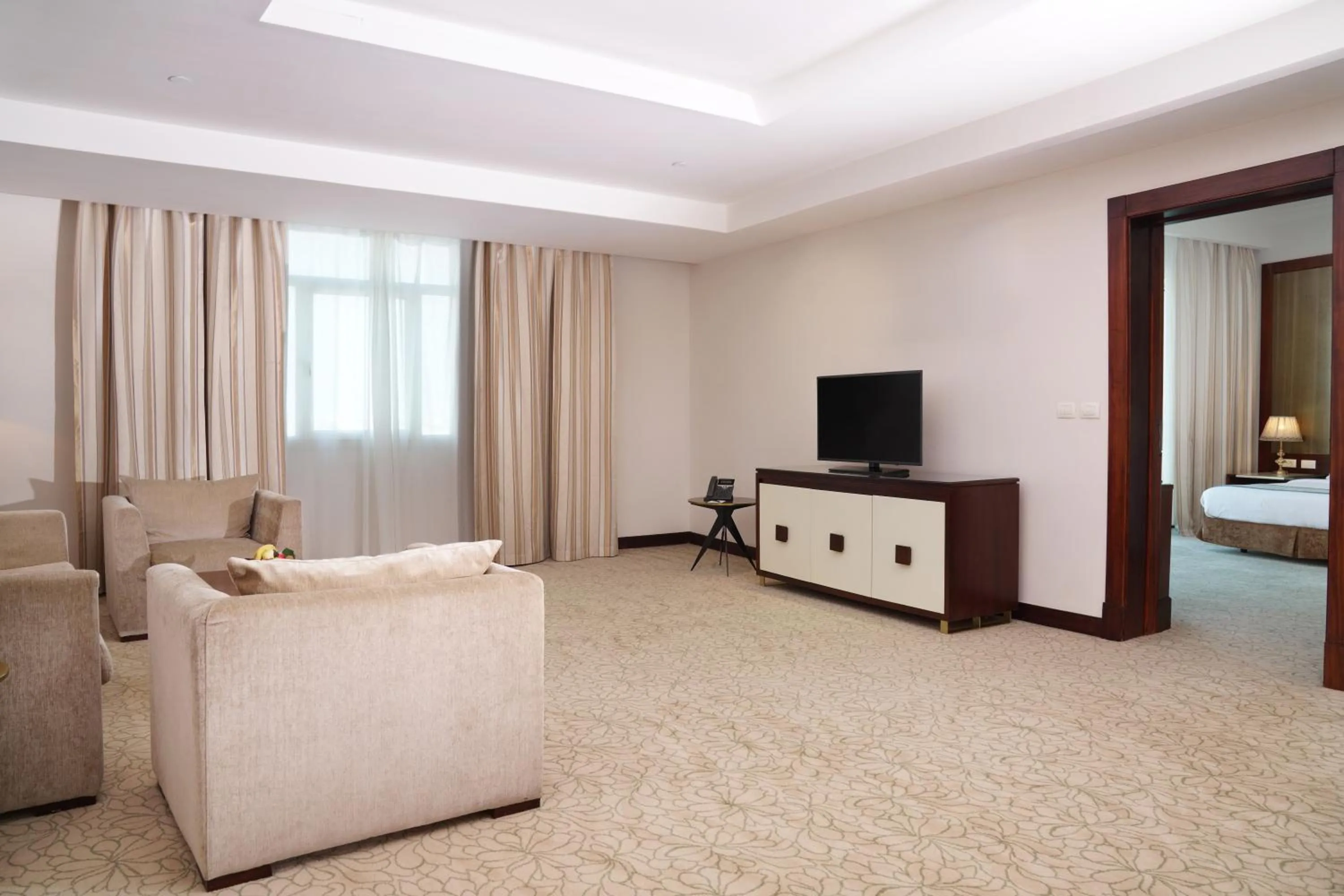 TV and multimedia in Gewan Hotel Cairo