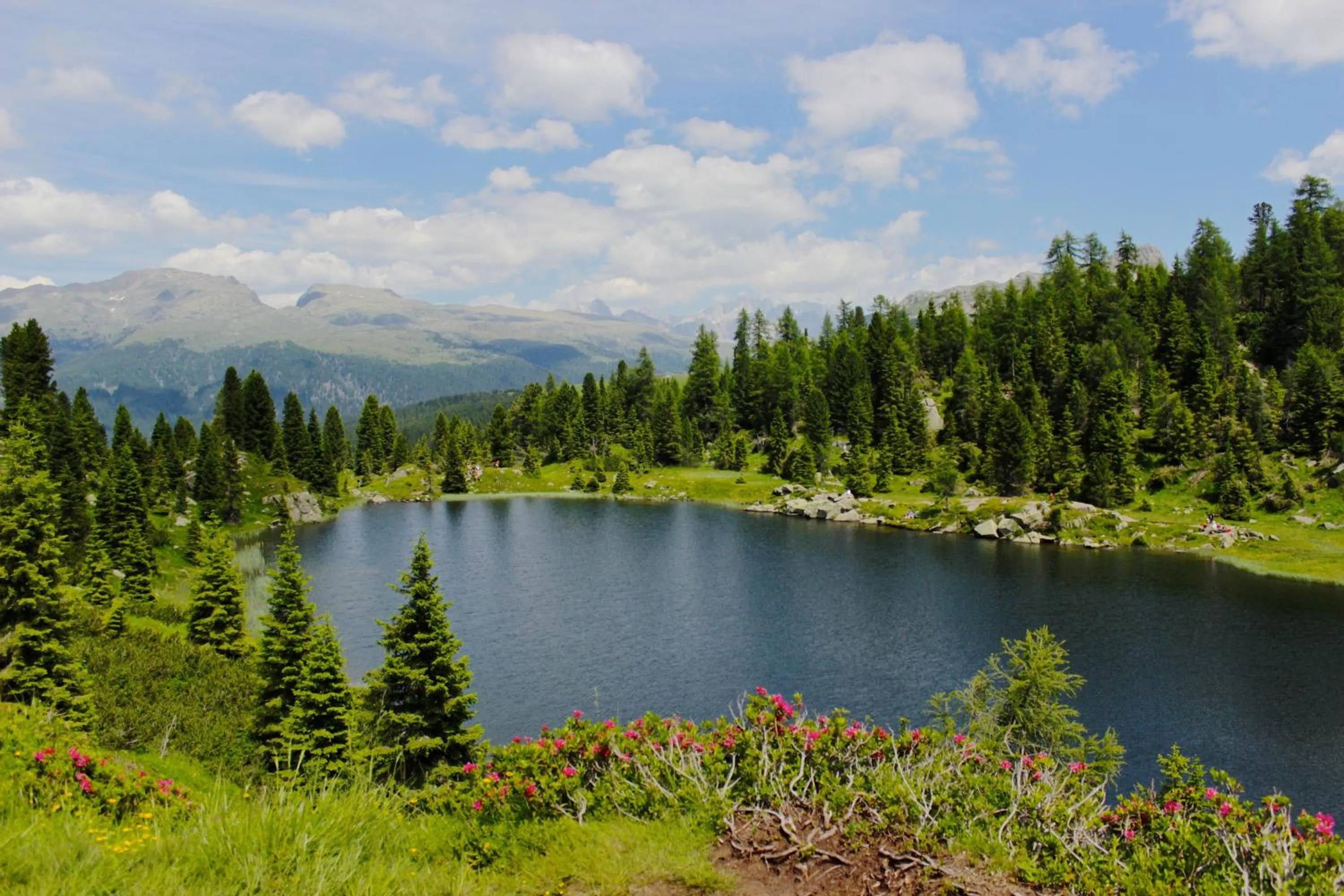 Day in Hotel Cima Rosetta - BW Signature Collection