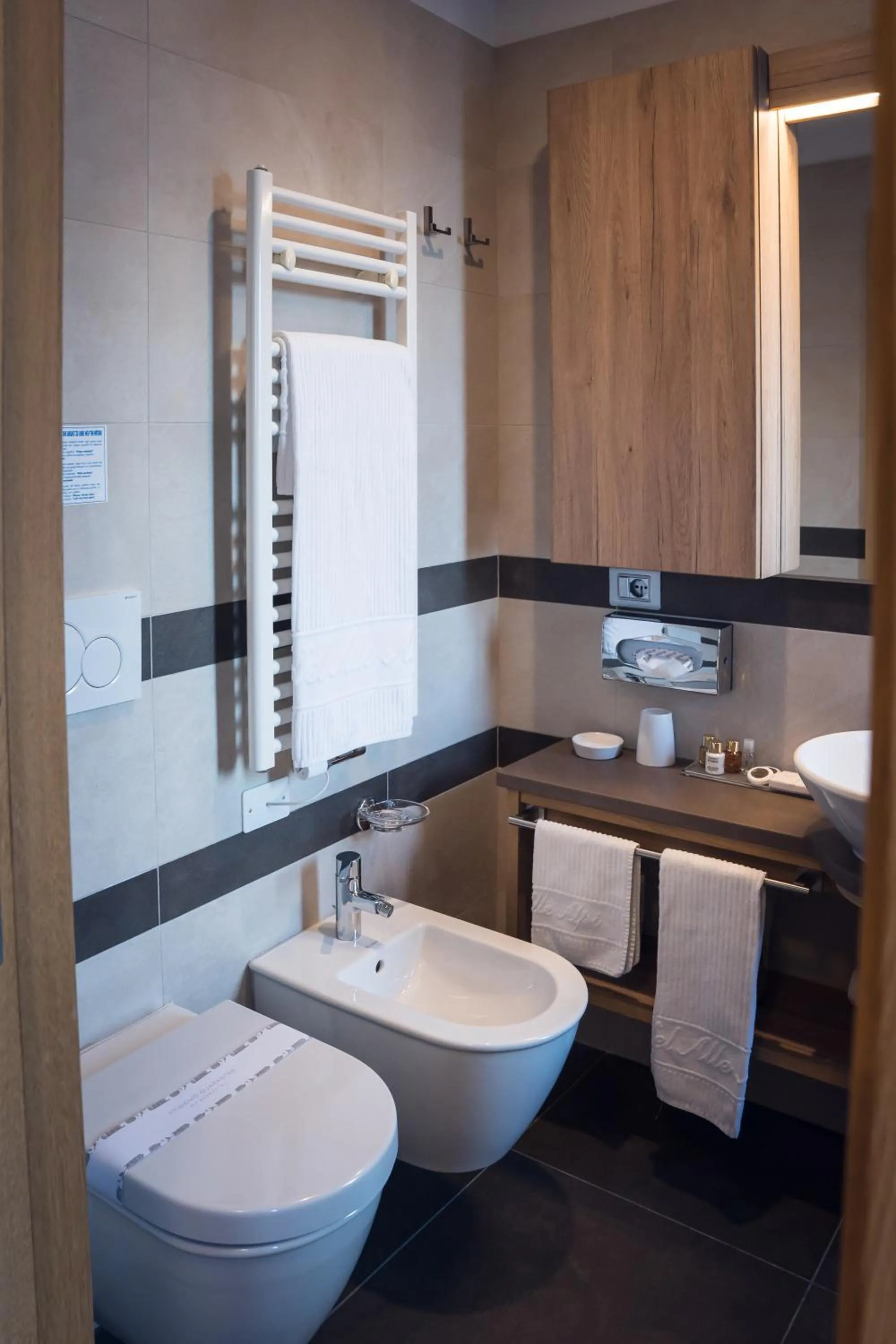 Toilet in Hotel Alle Alpi