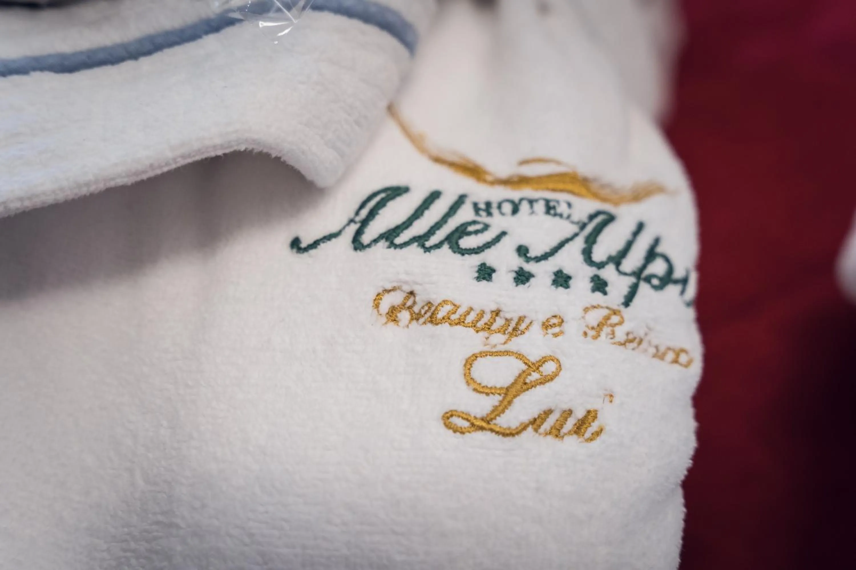 Property logo or sign in Hotel Alle Alpi