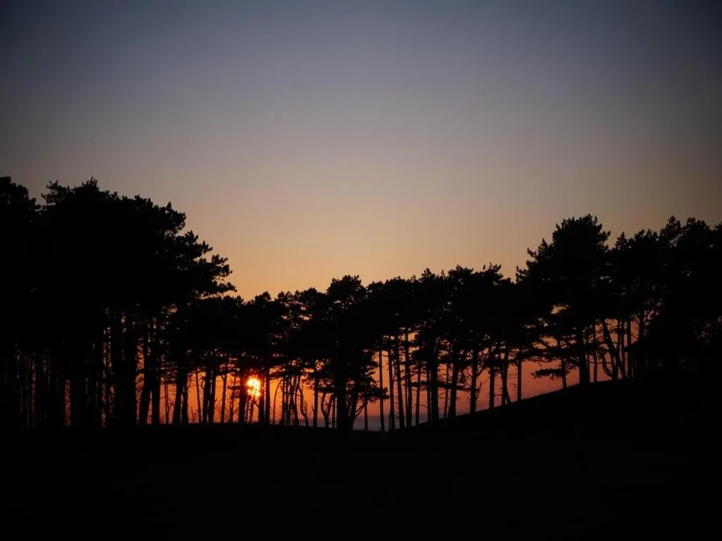 View (from property/room) in The Golf Hotel