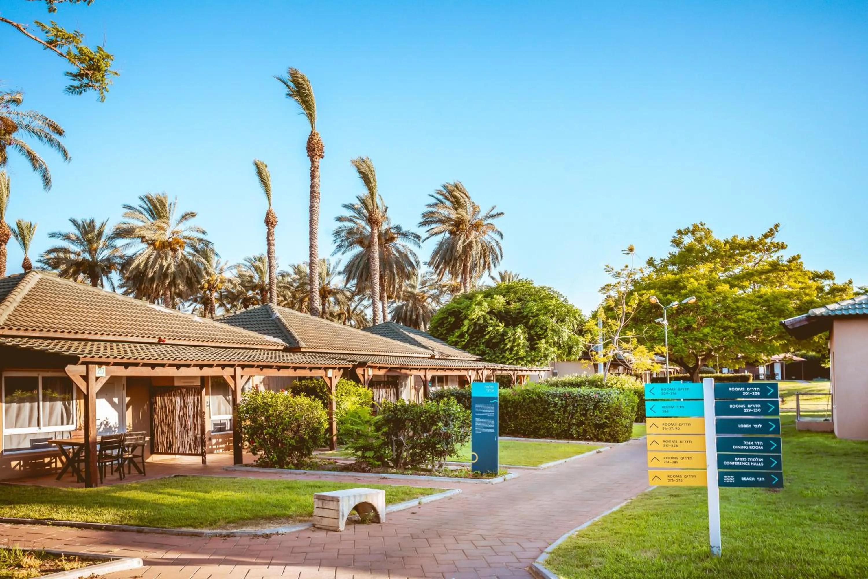 View (from property/room) in Daria- Authentic Israeli Experience