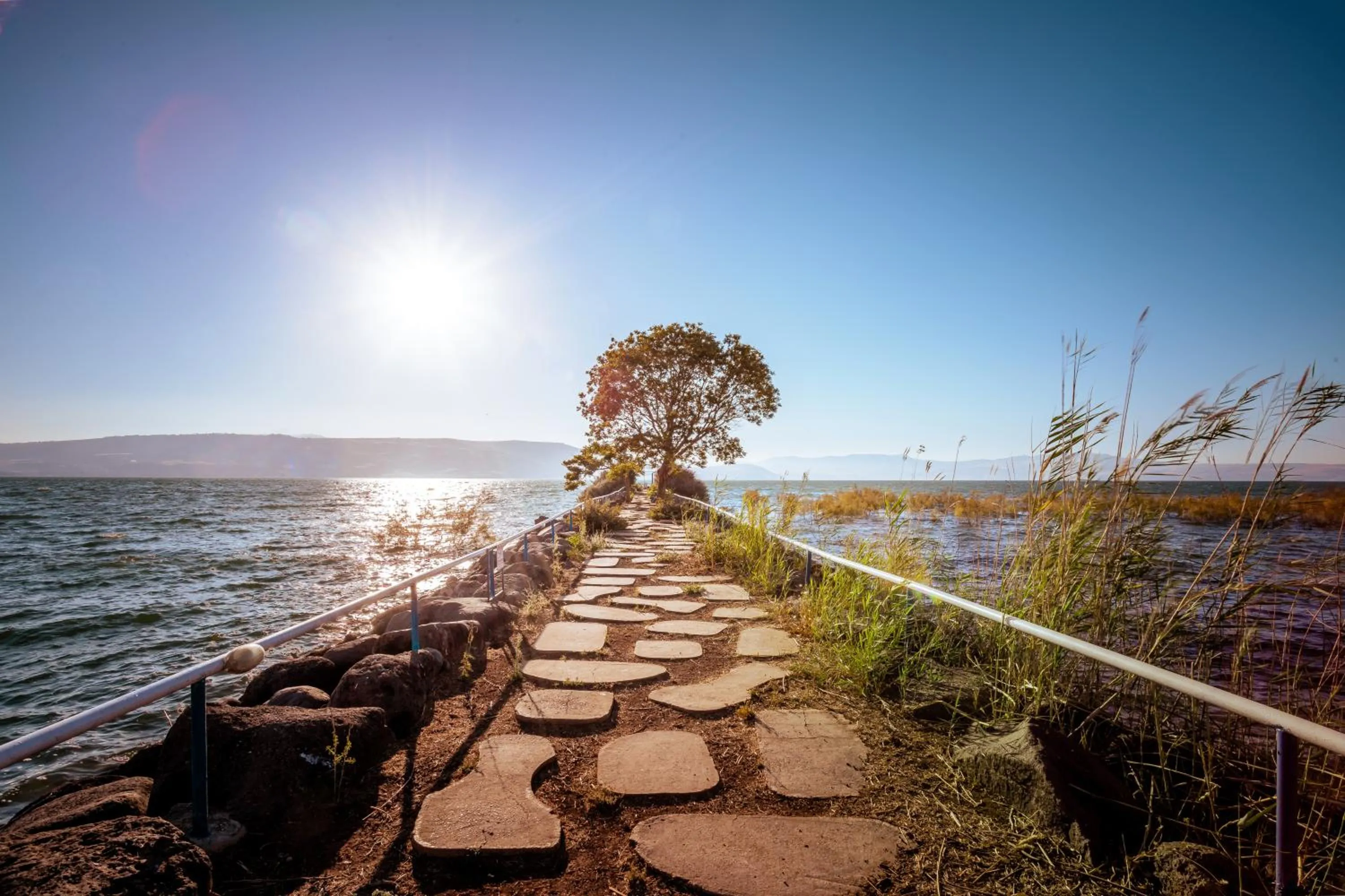 Beach in Daria- Authentic Israeli Experience