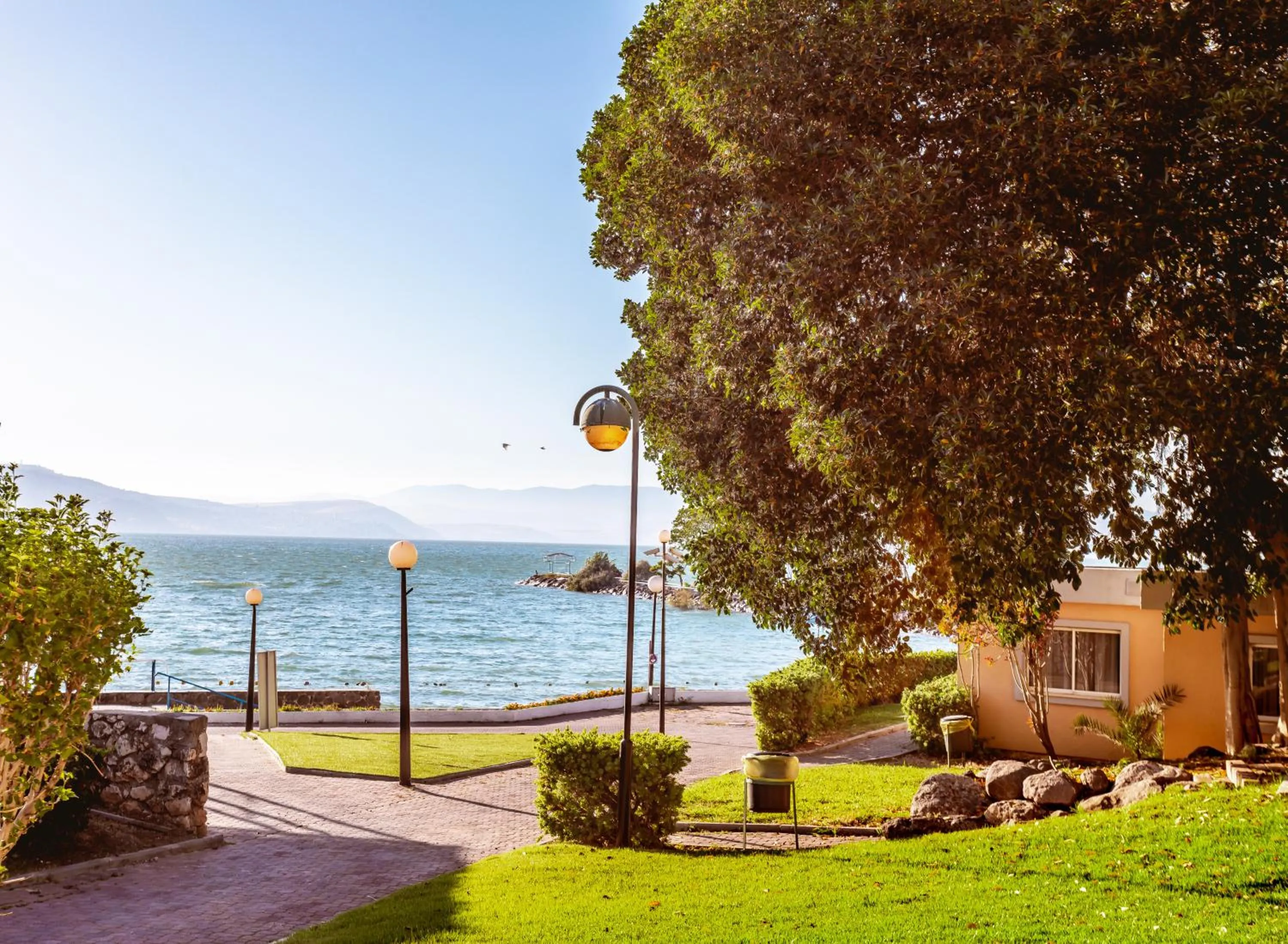 View (from property/room) in Daria- Authentic Israeli Experience