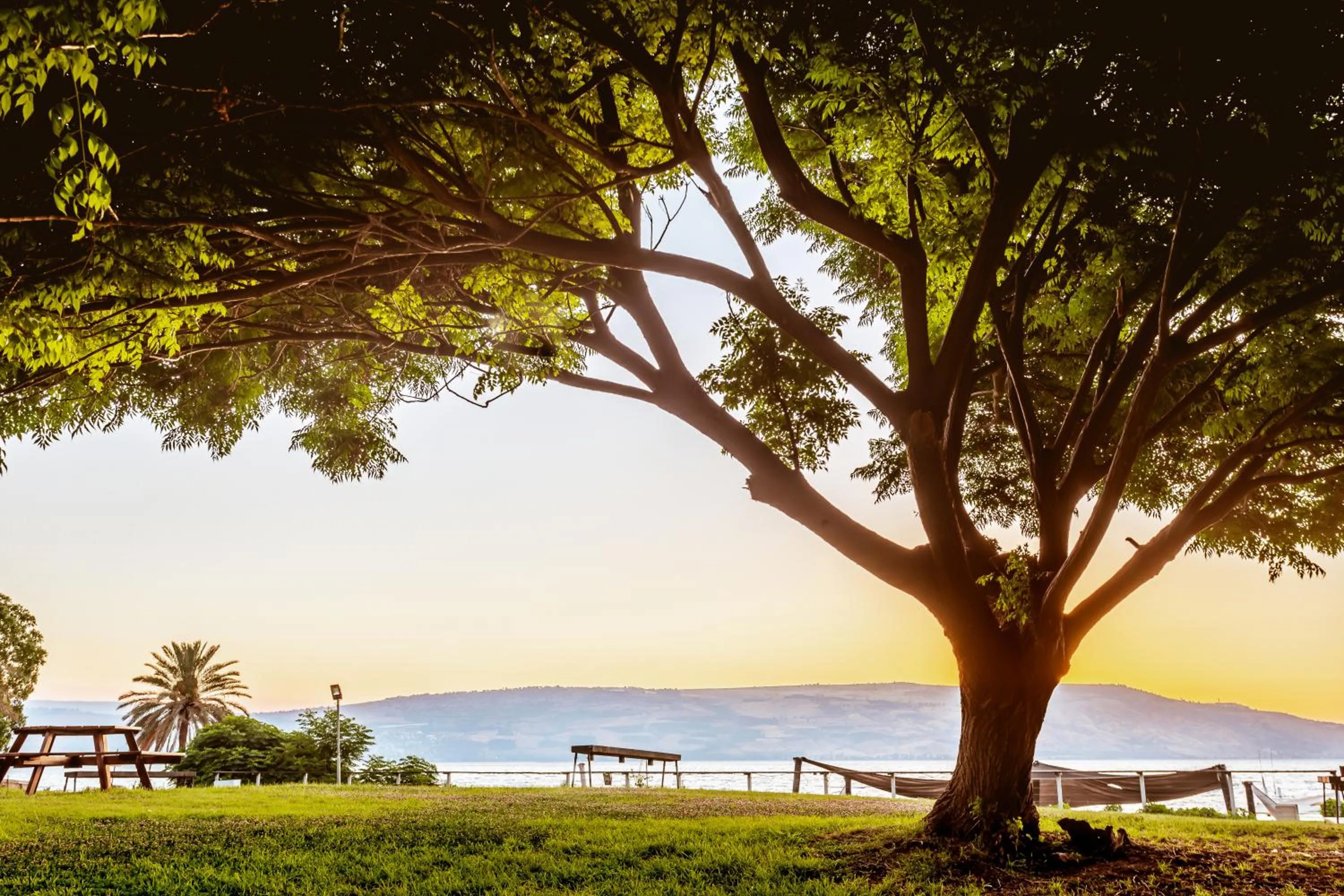 Inner courtyard view in Daria- Authentic Israeli Experience