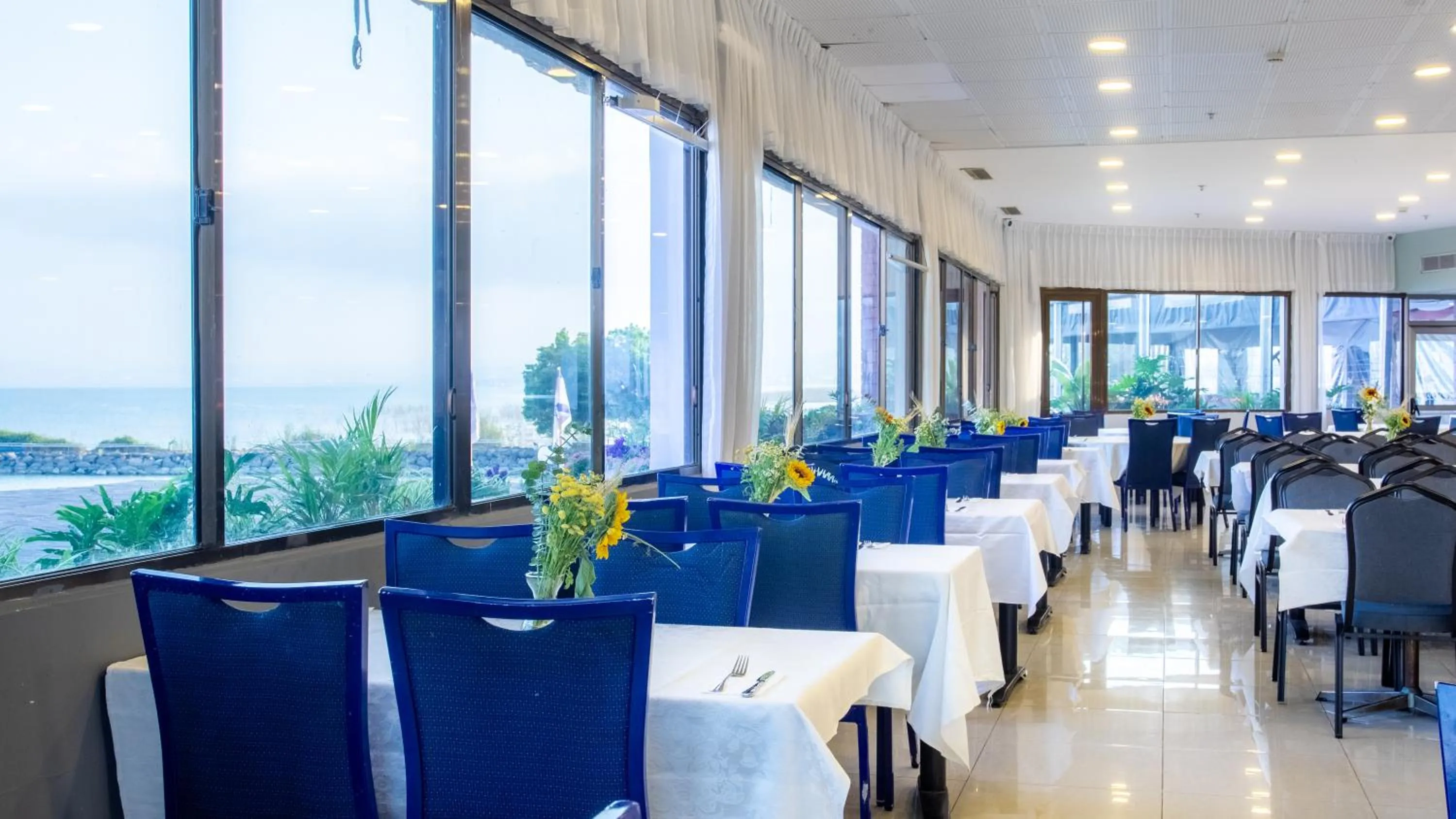 Restaurant/places to eat in Daria- Authentic Israeli Experience