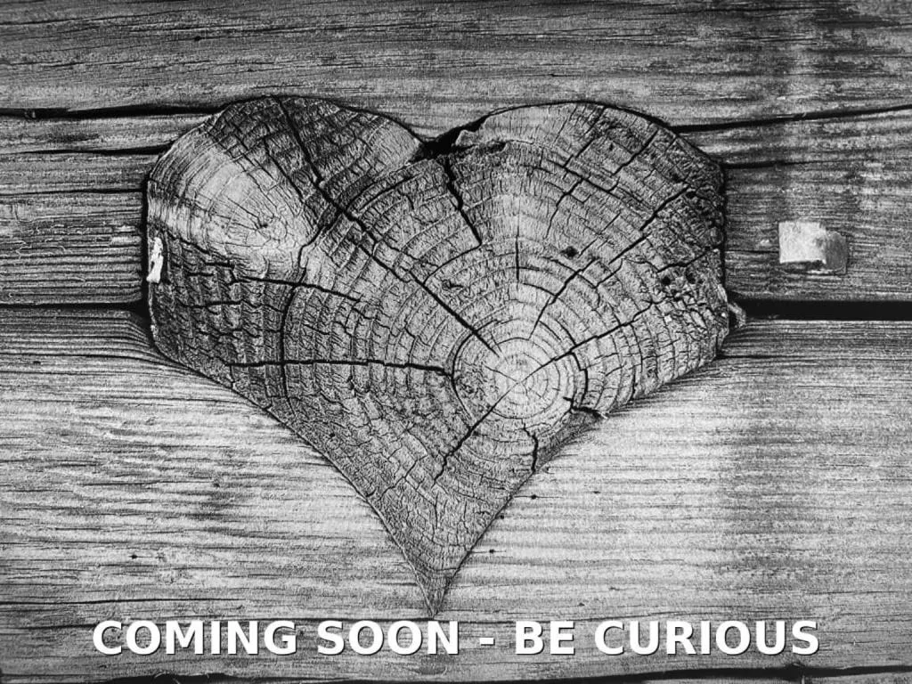 Suite with Sauna in Hotel Spielmann