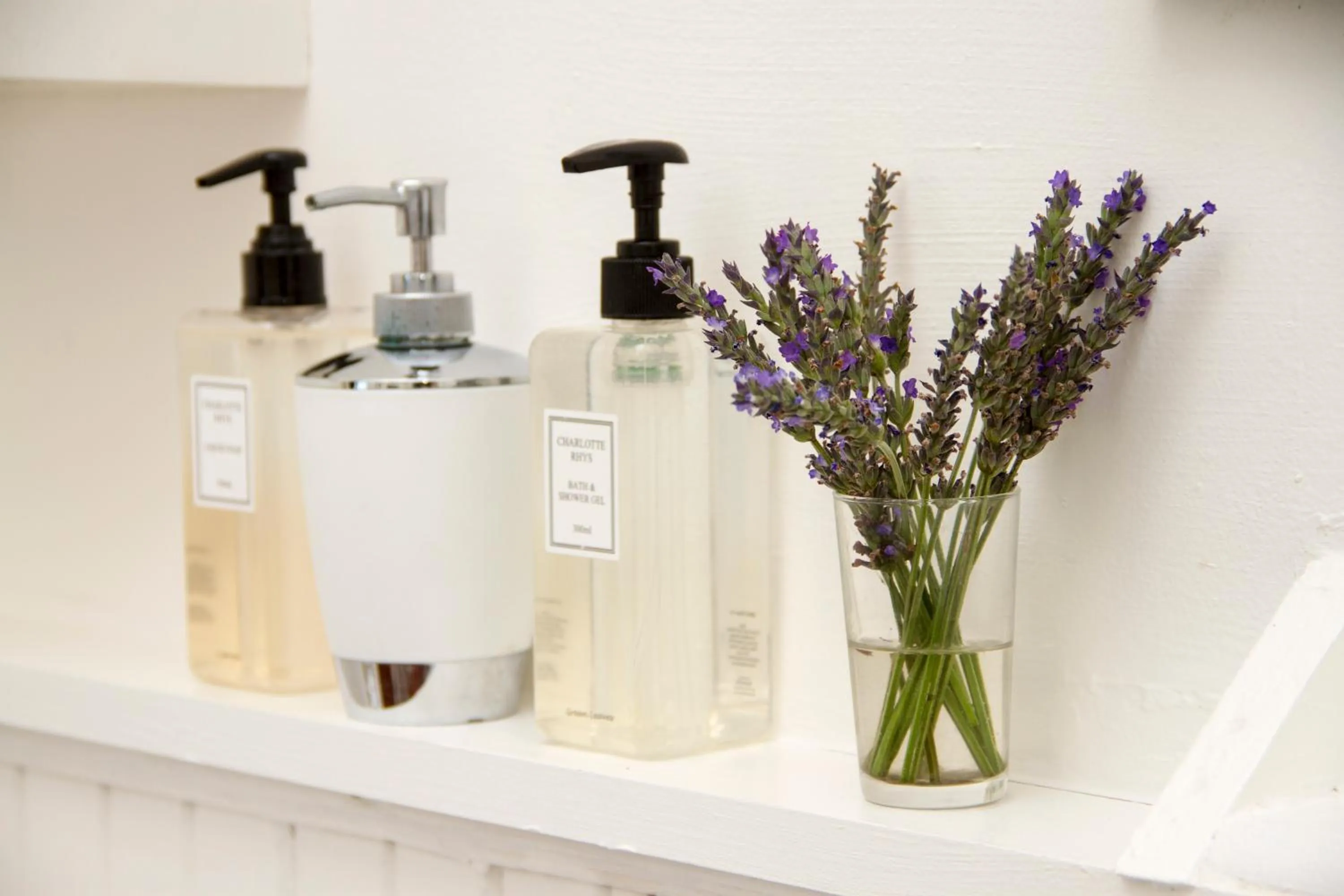 Toilet in Albatross Guest House