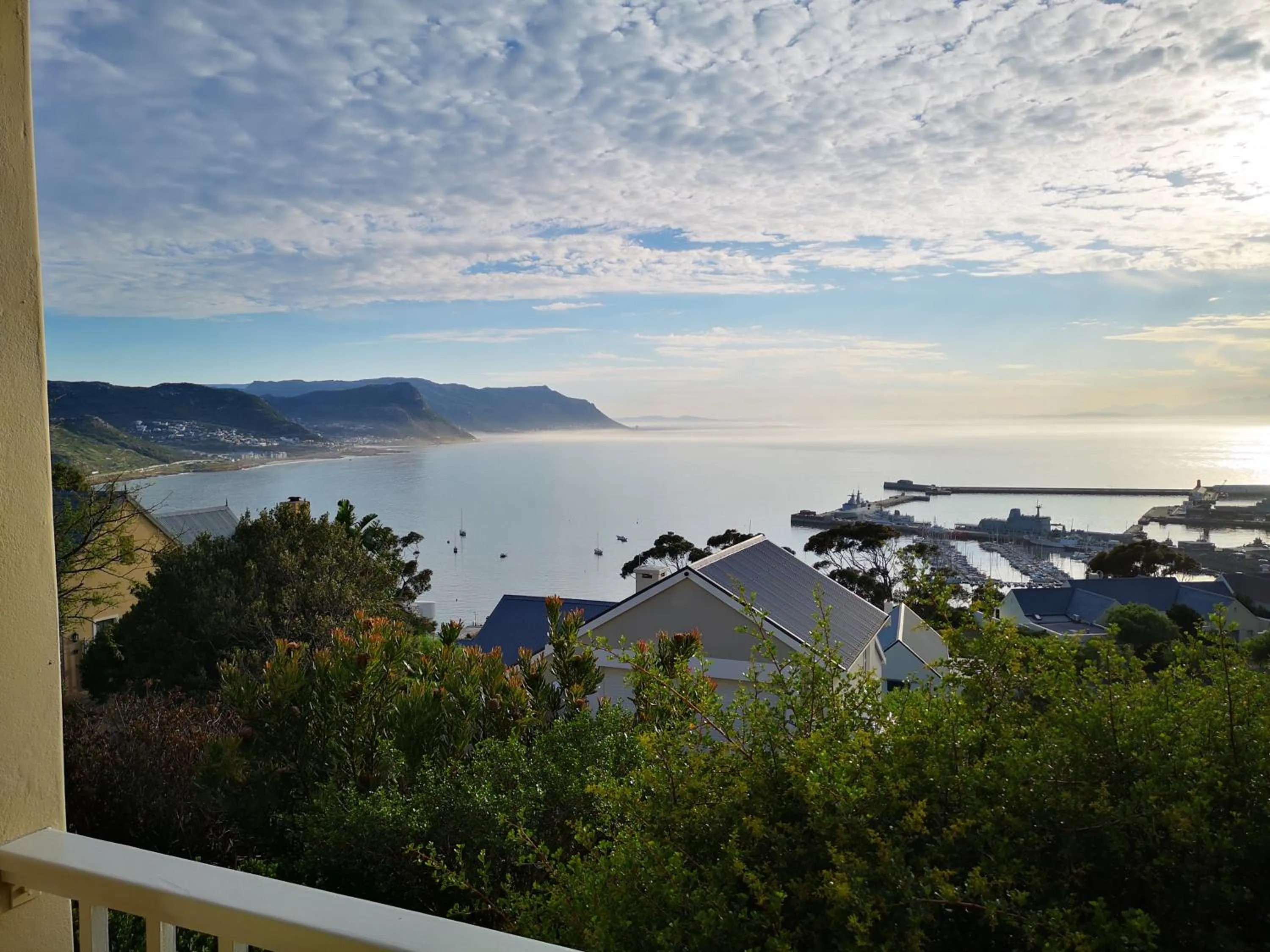 Garden view in Albatross Guest House