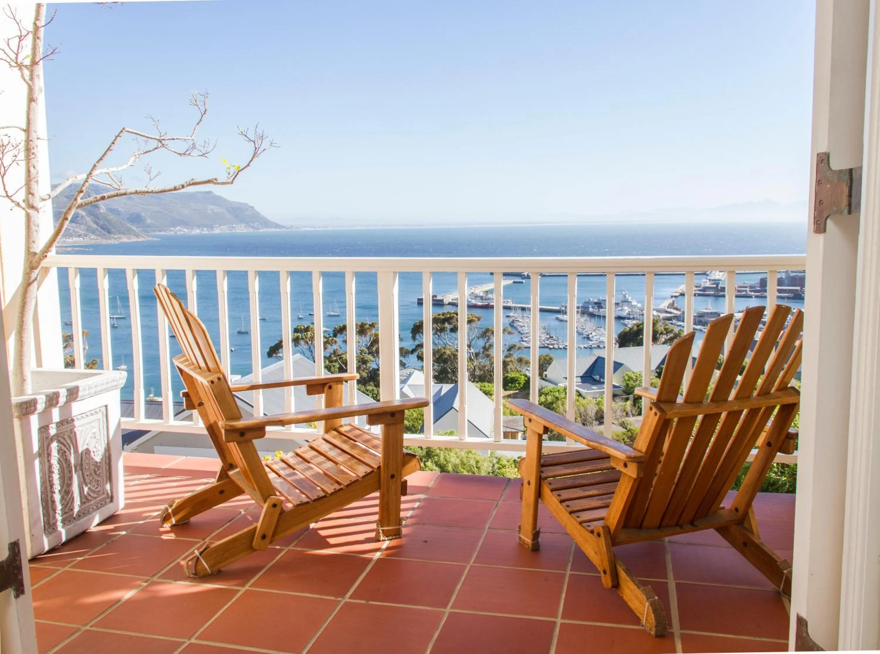 Balcony/Terrace in Albatross Guest House