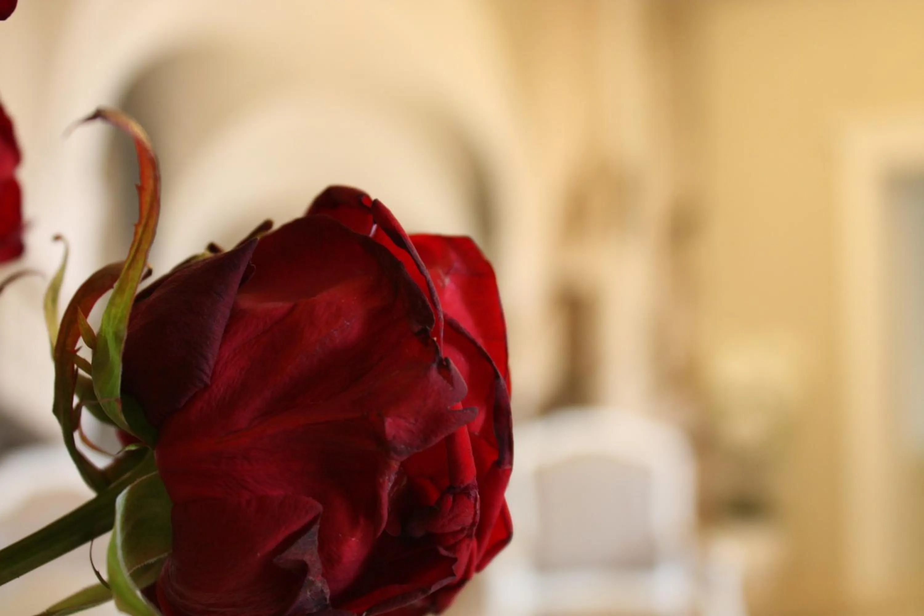 Decorative detail, Bed in Suites & Apartments Liola'