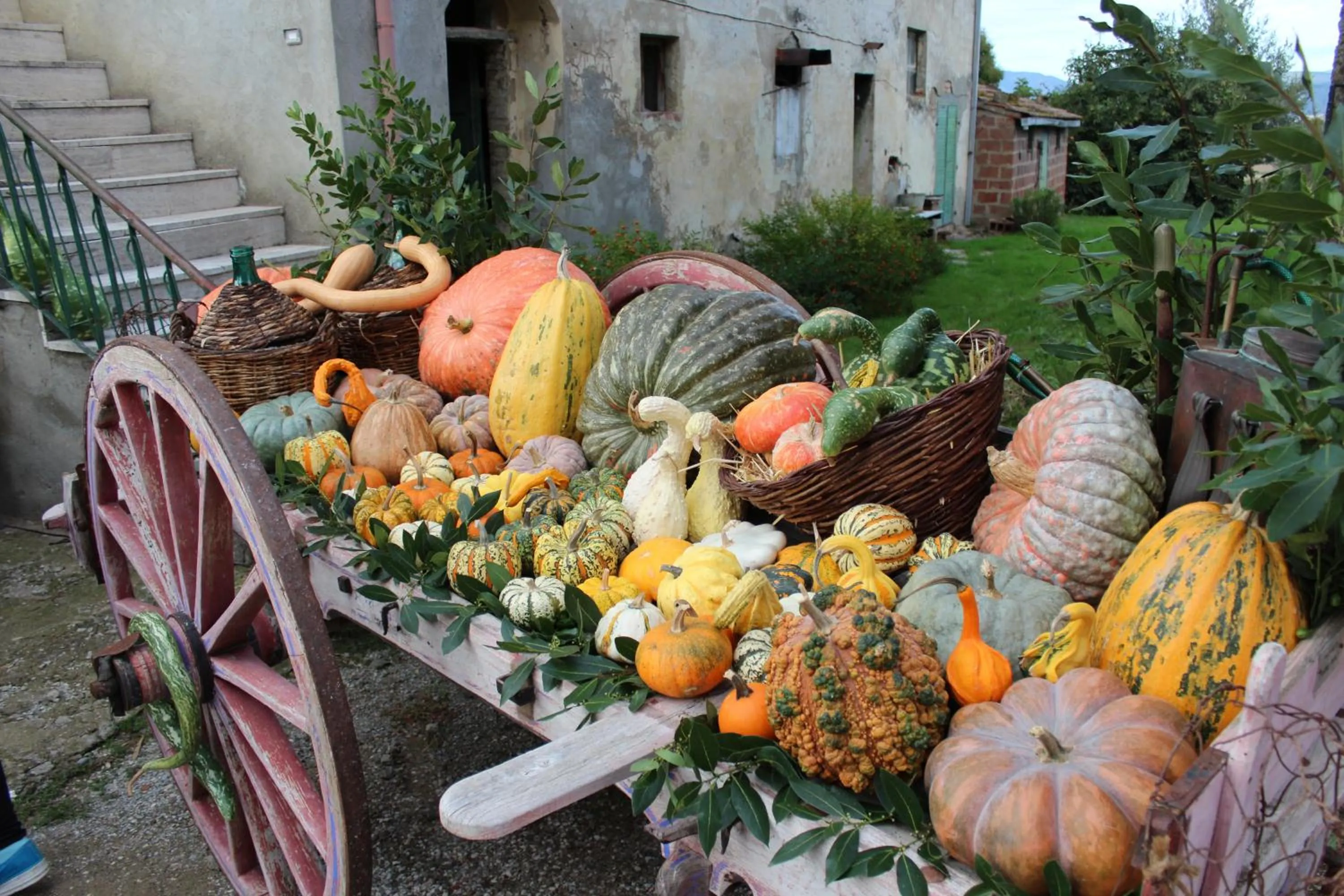 Other in Fattoria Le Giare Agriturismo