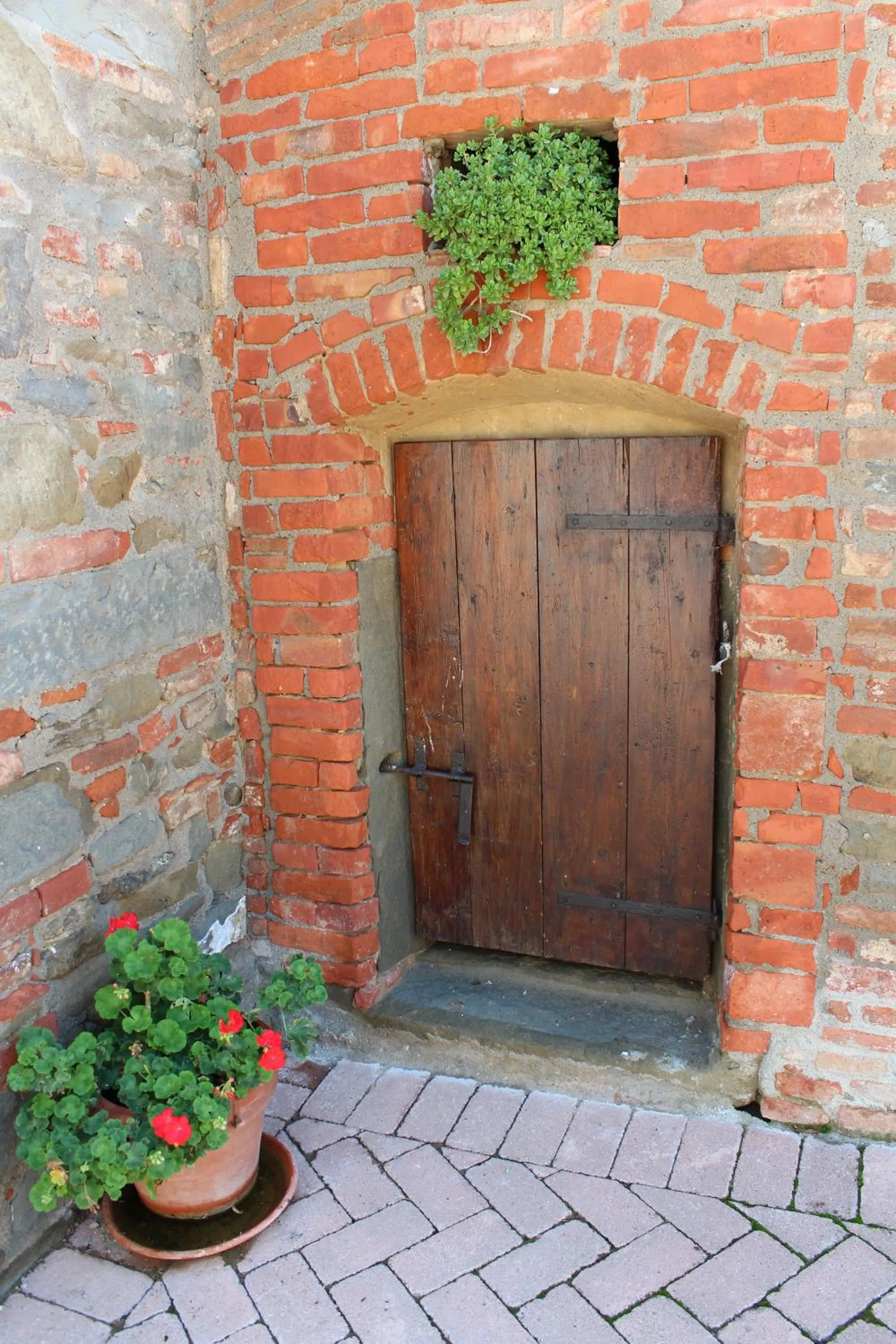 Other in Fattoria Le Giare Agriturismo