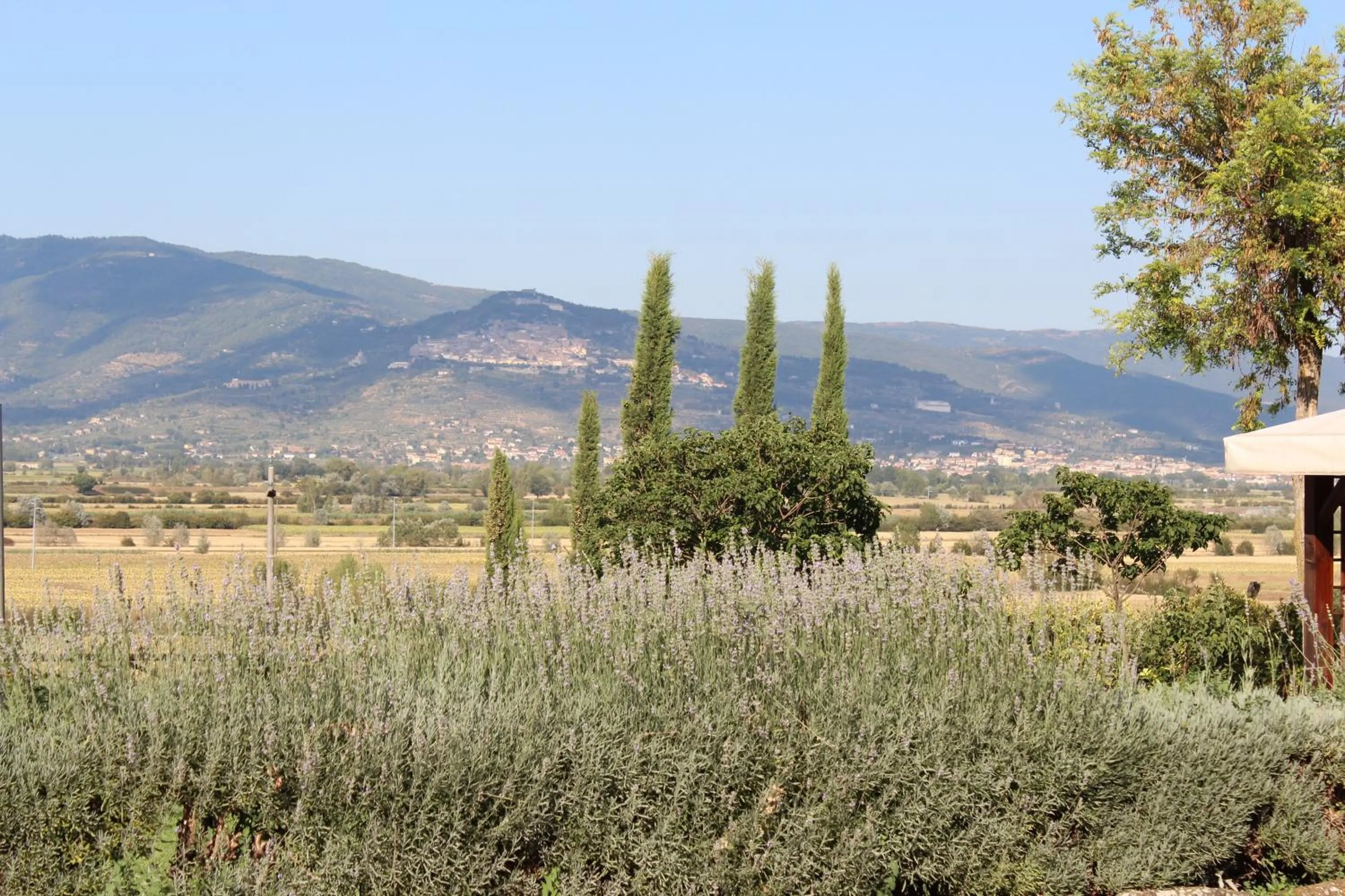 View (from property/room) in Fattoria Le Giare Agriturismo