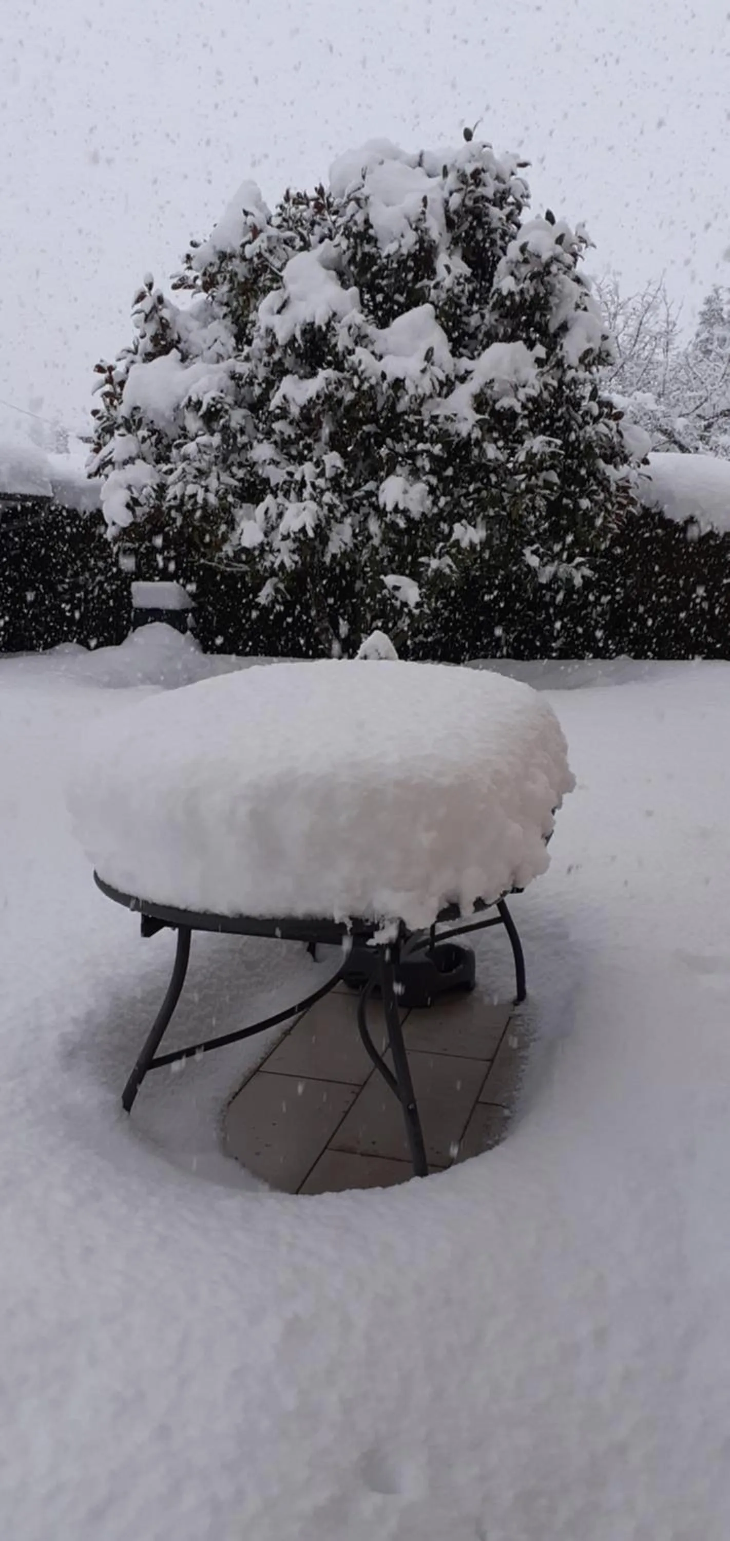 Chez Laurette et Louis