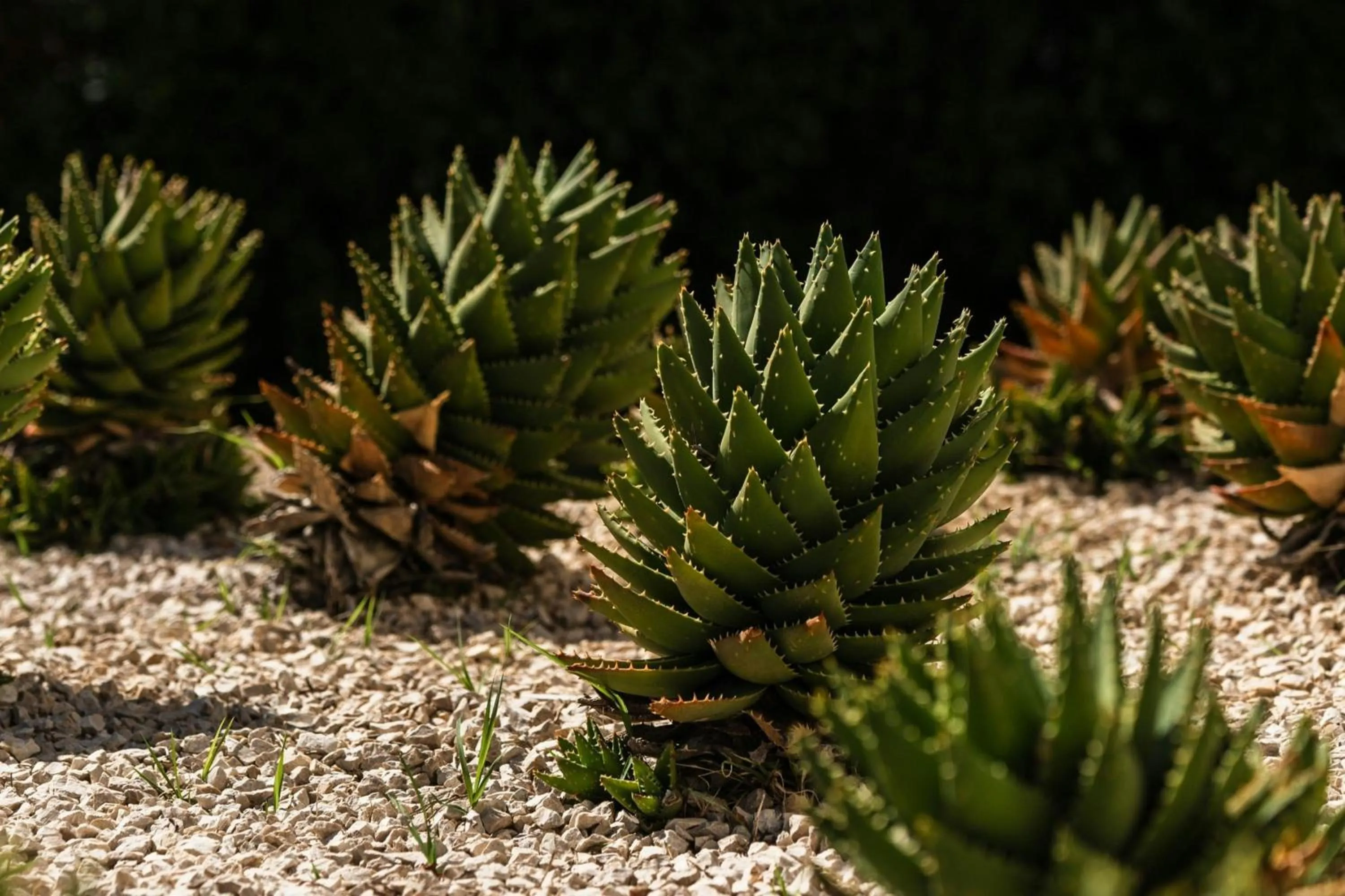 Other in Delta Hotels by Marriott Olbia Sardinia