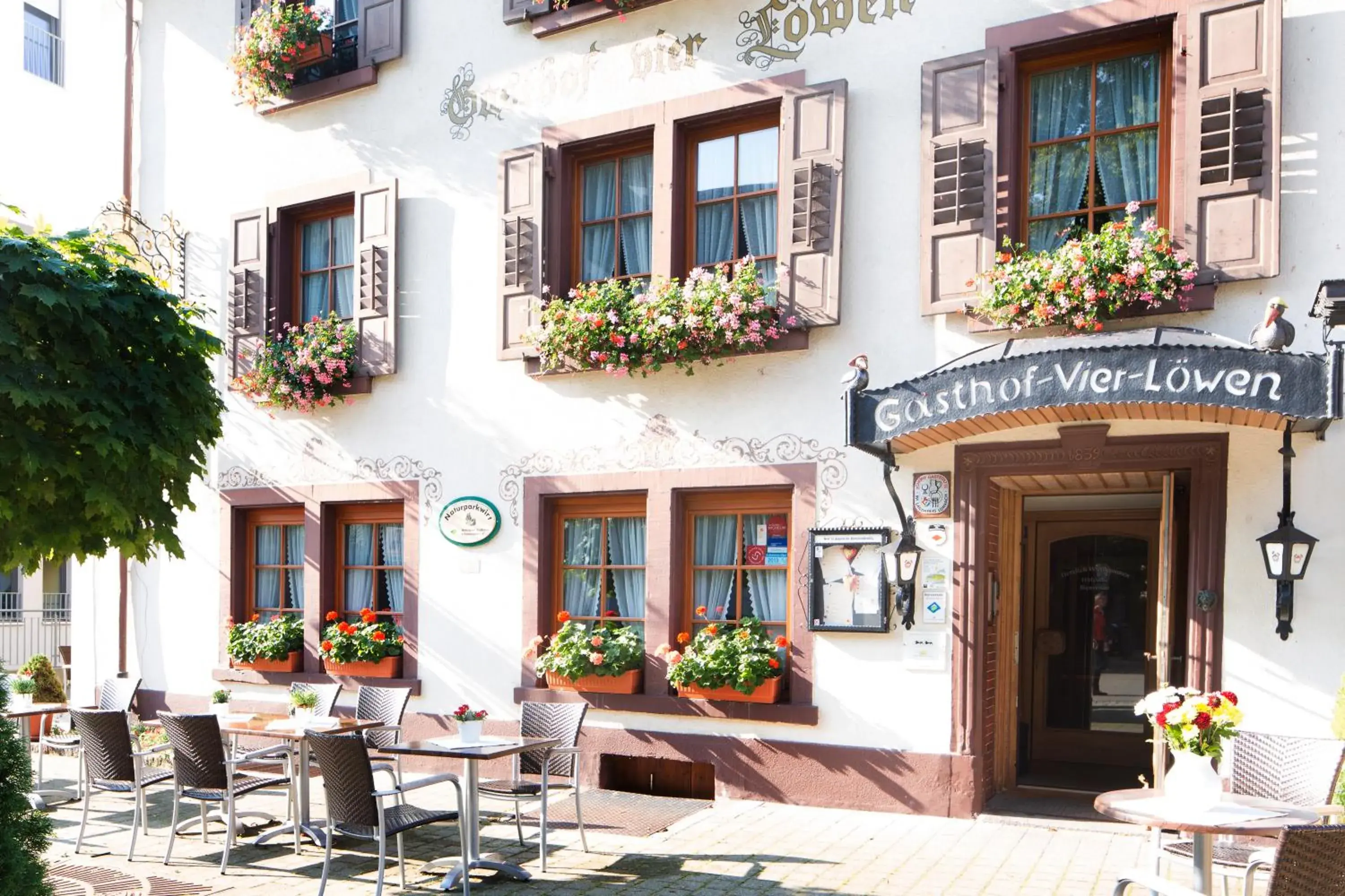 Vier Löwen Vier Löwen