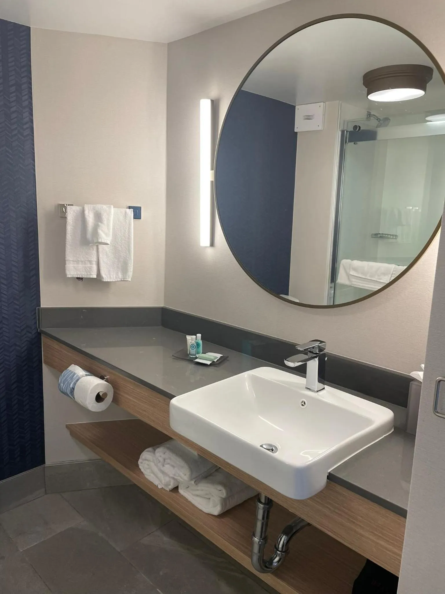 Bathroom in Comfort Inn Downtown Charleston