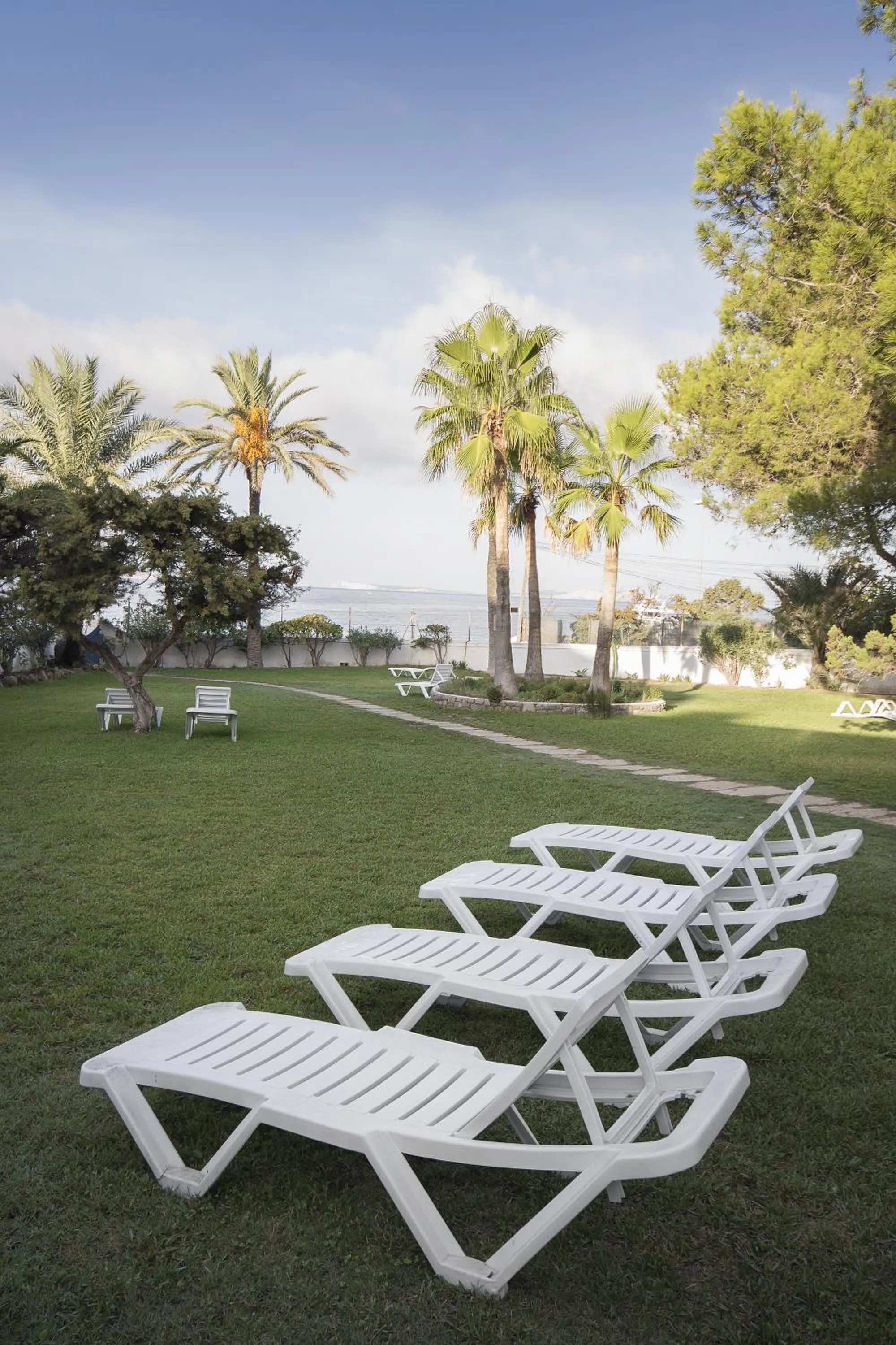 Garden in Hotel Abrat