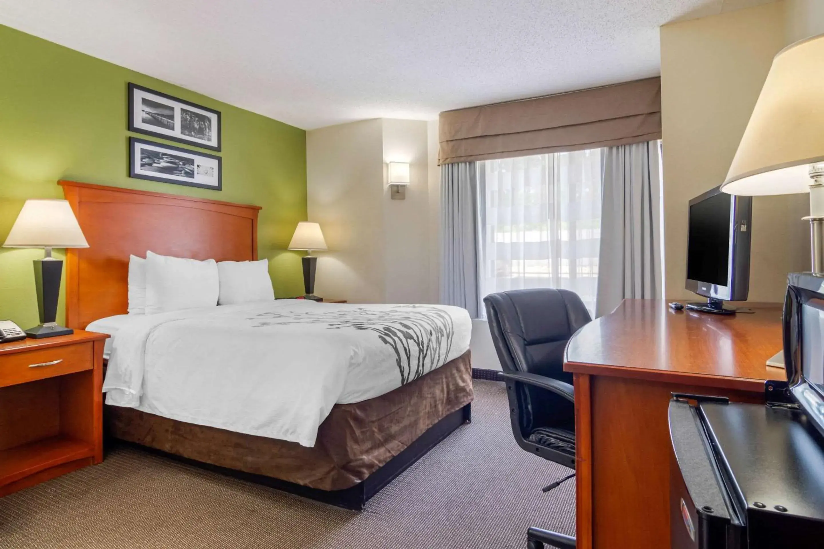 Queen Room - Non-Smoking in Sleep Inn Macon I-75 Queen Room - Non-Smoking in Sleep Inn Macon I-75