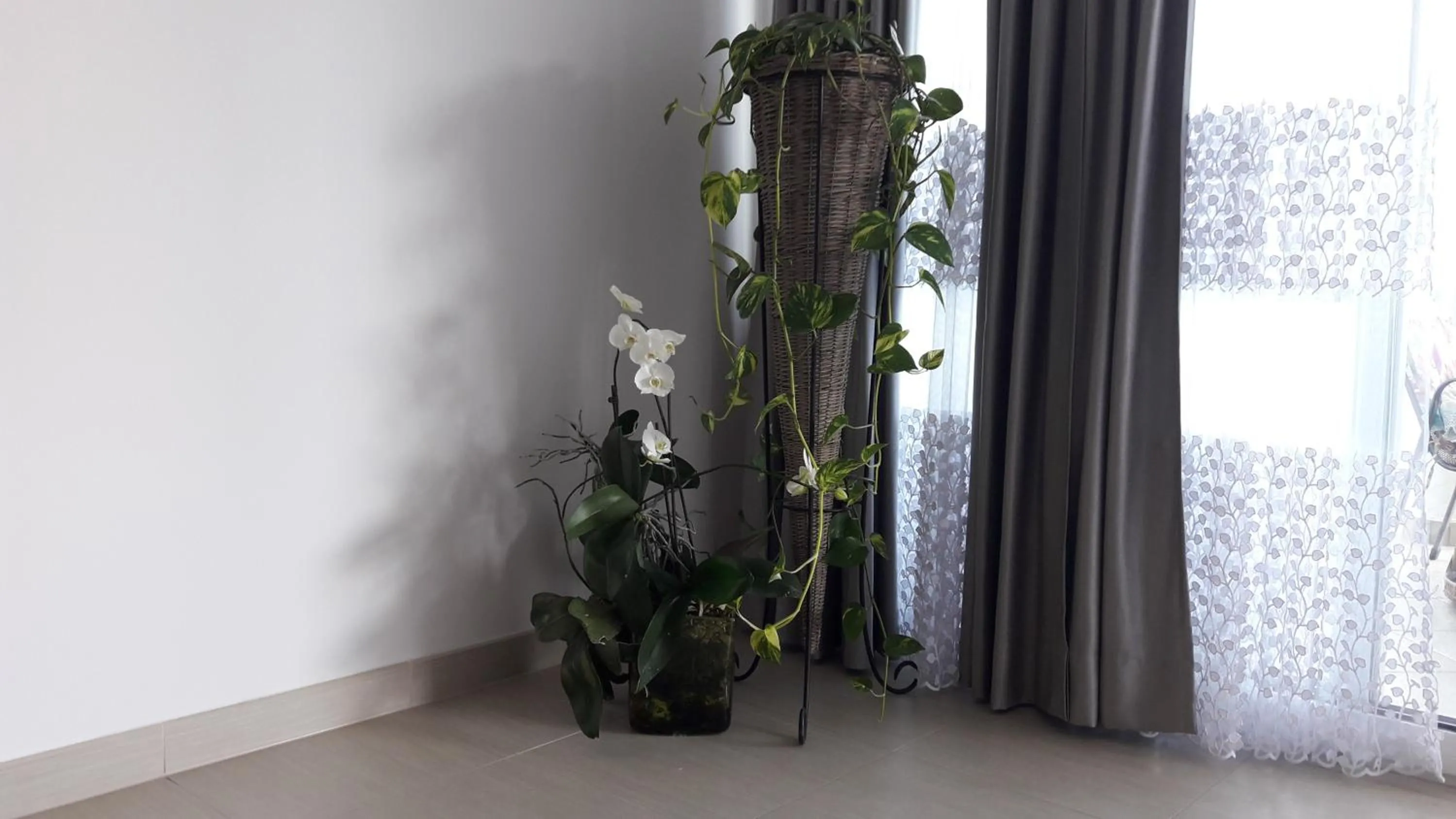 Villa-Apartments Karmel